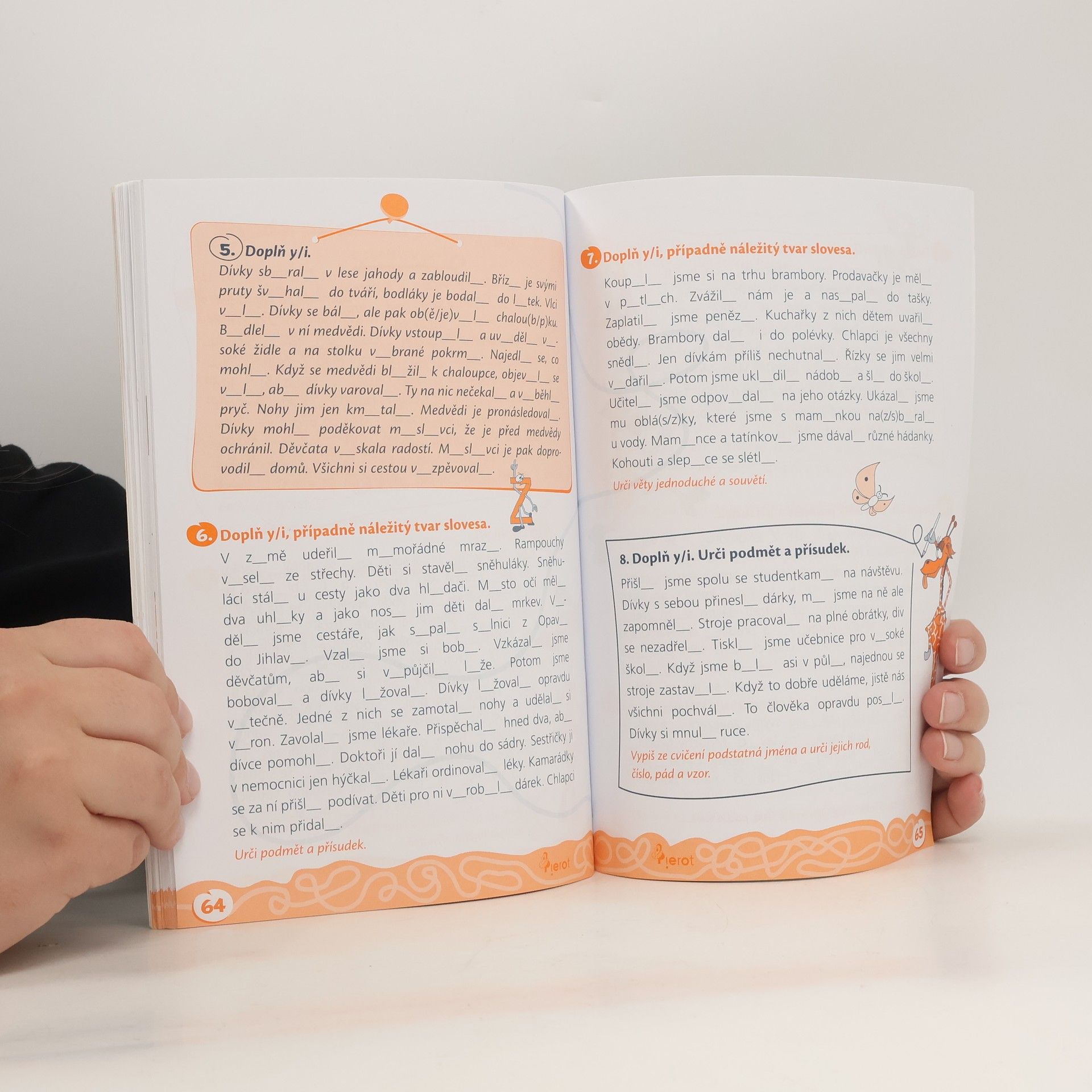Autorenkollektiv Domácí procvičování - čeština 4