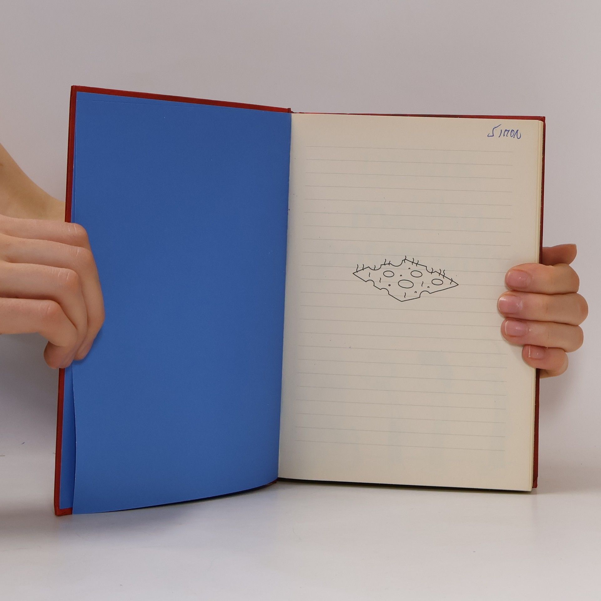 Jeff Kinney Deník malého poseroutky 1