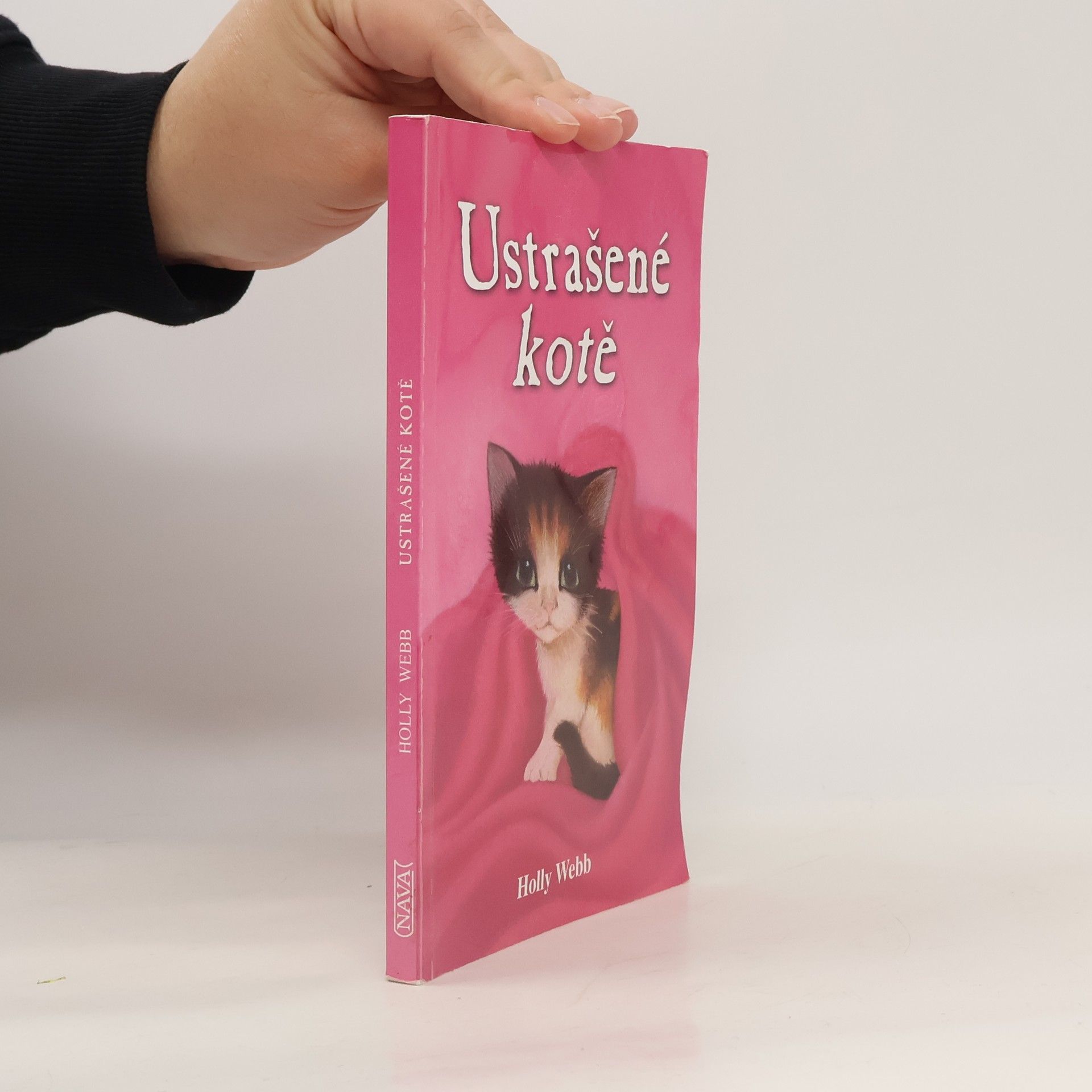 Holly Webbová Ustrašené kotě