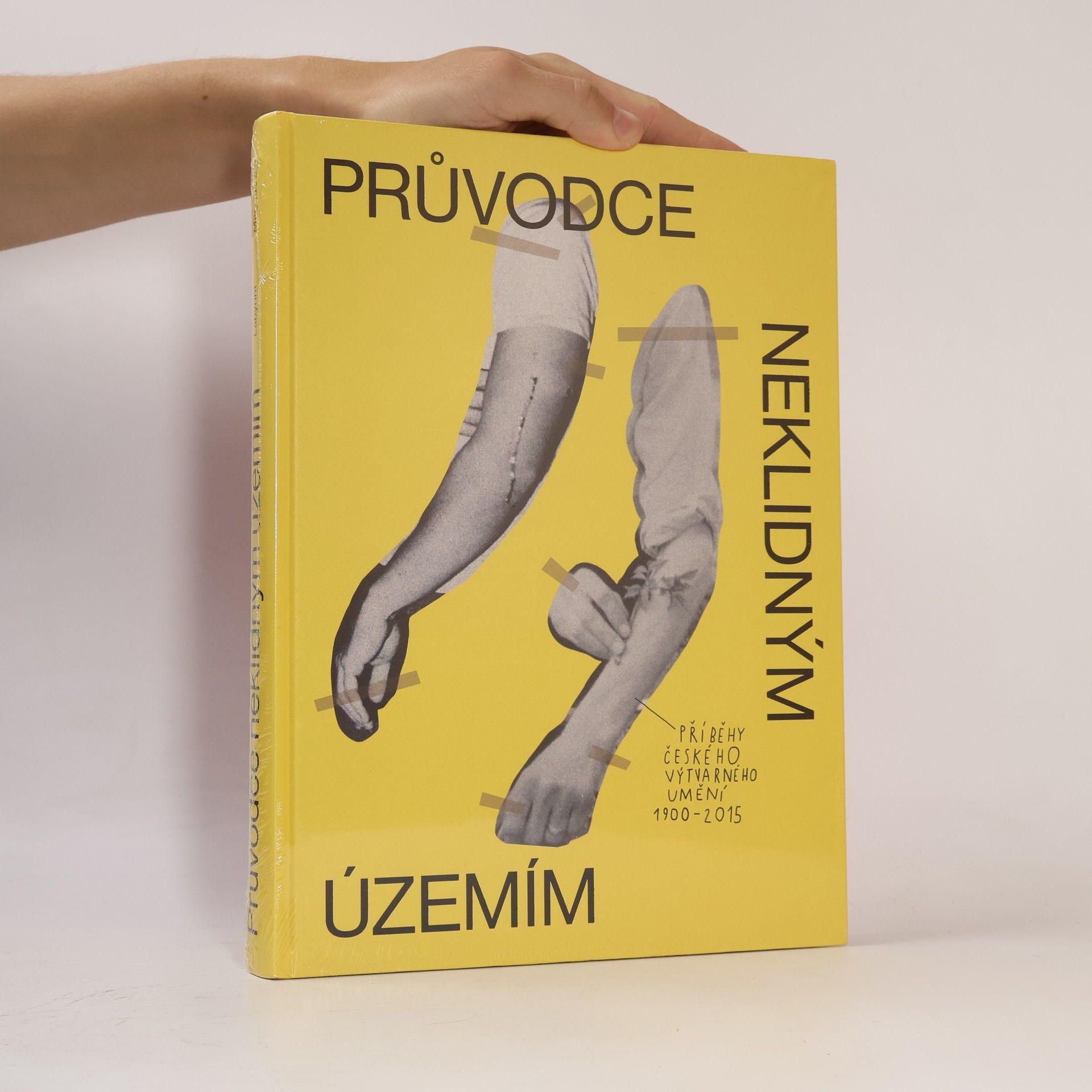 Průvodce neklidným územím. Příběhy českého výtvarného umění (1900-2015)