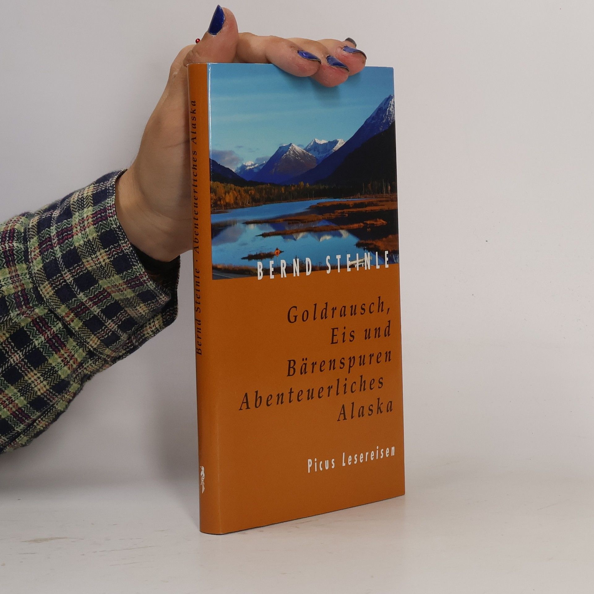 Bernd Steinle Goldrausch, Eis und Bärenspuren