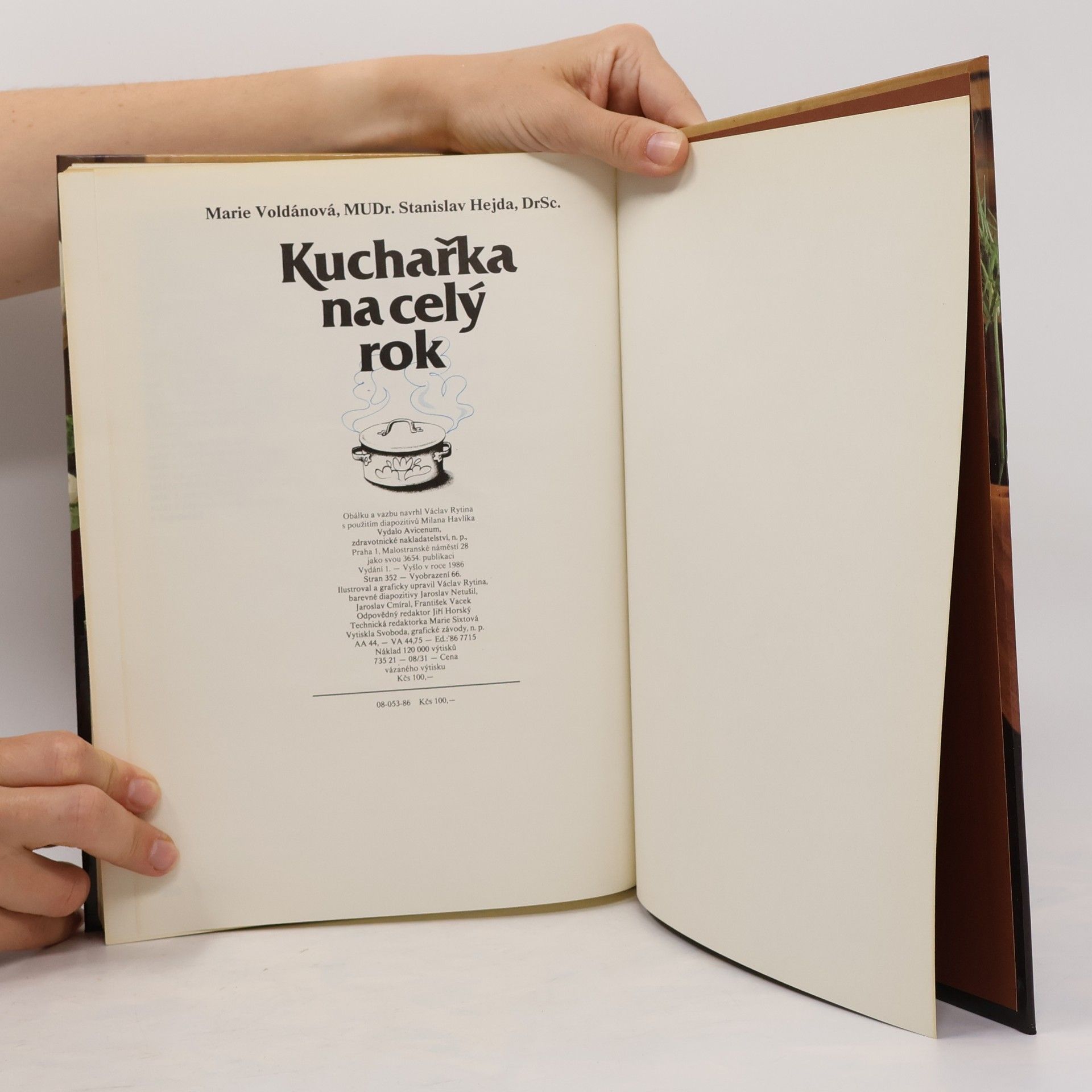 Marie Voldánová Kuchařka na celý rok