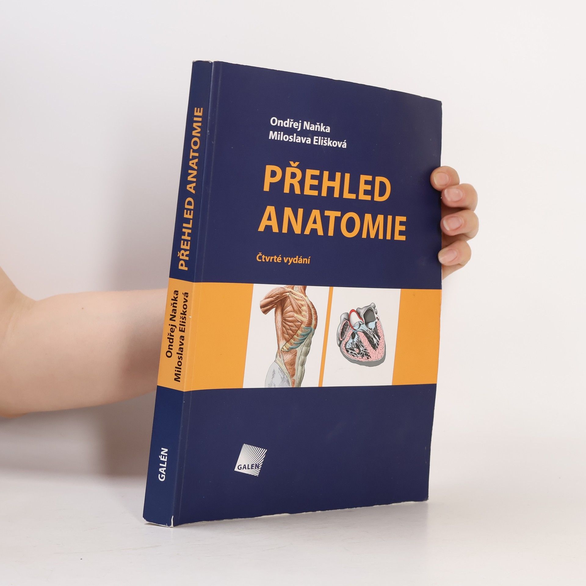 Miloslava Elišková Přehled anatomie