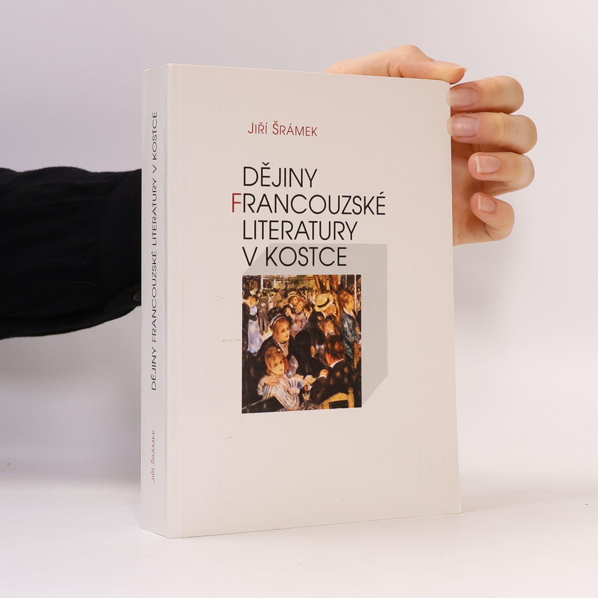 Jiří Šrámek Dějiny francouzské literatury v kostce