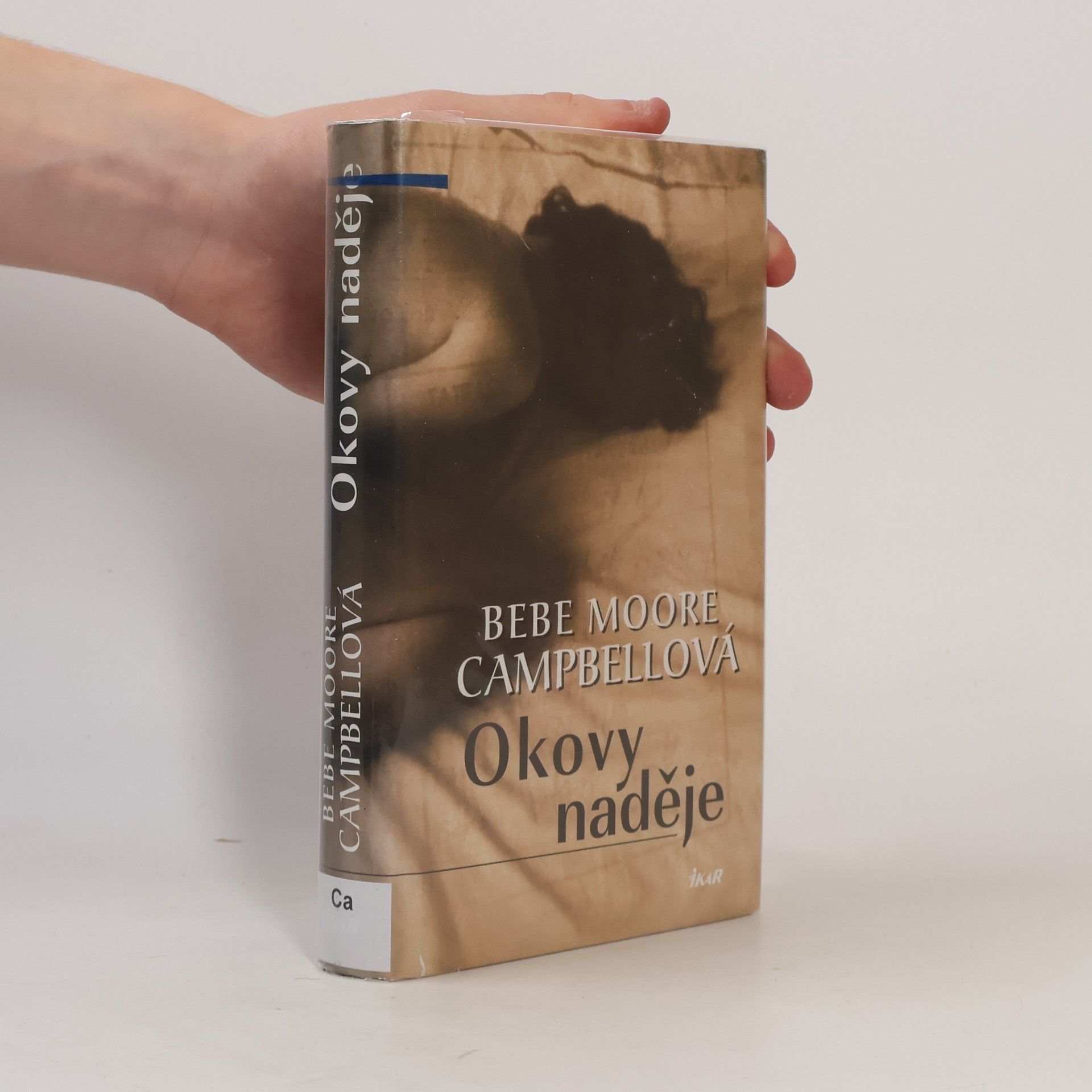 Bebe Moore Campbell Okovy naděje