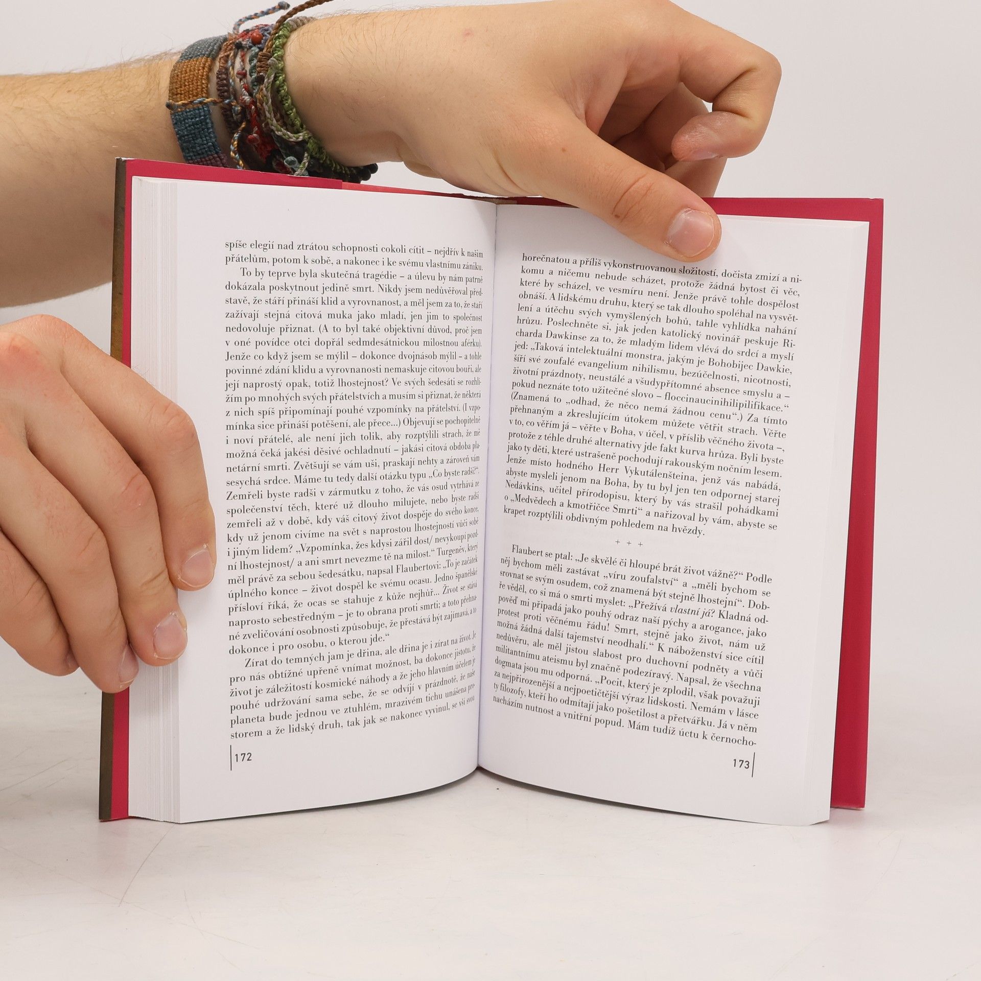 Julian Barnes Žádný důvod k obavám