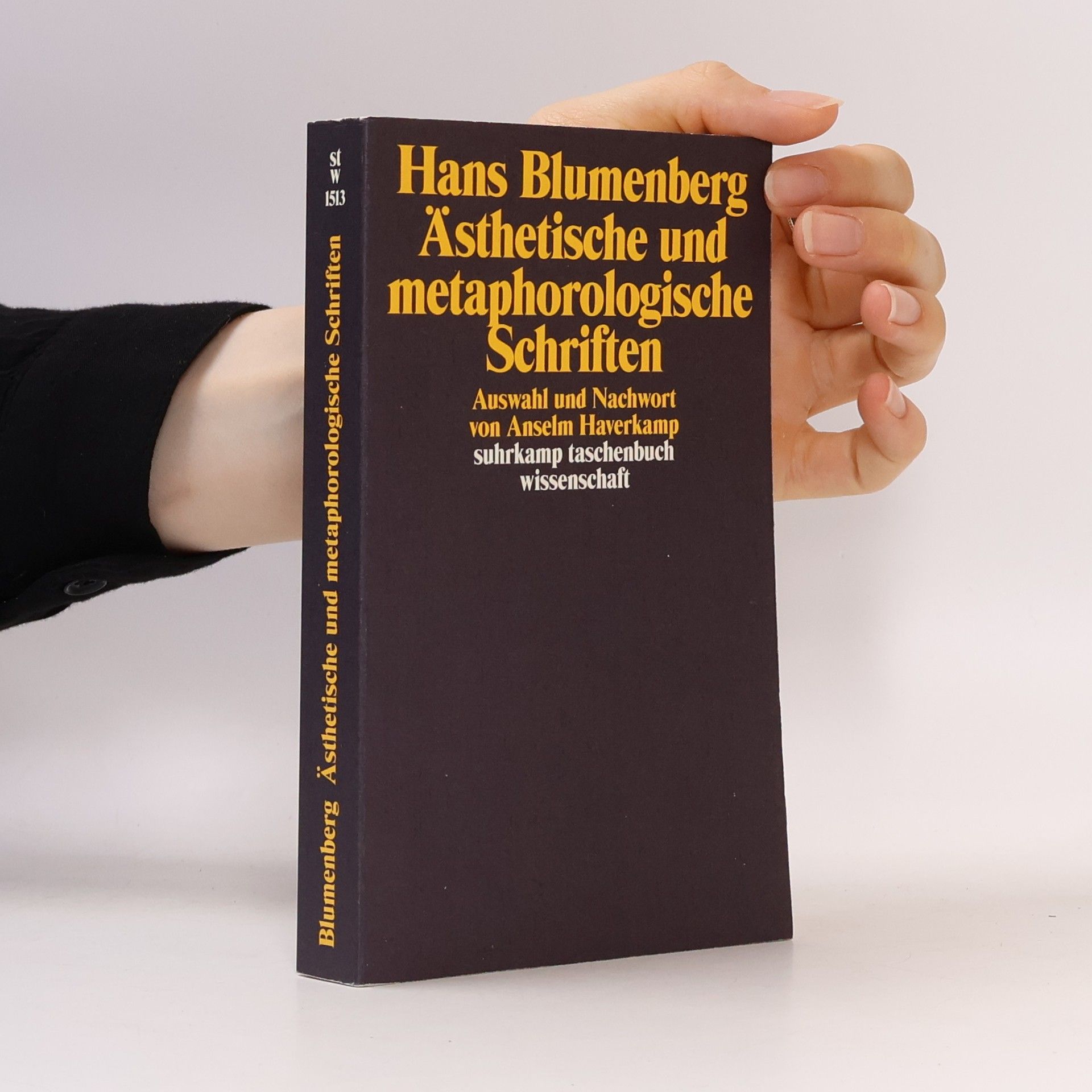 Ästhetische und metaphorologische Schriften