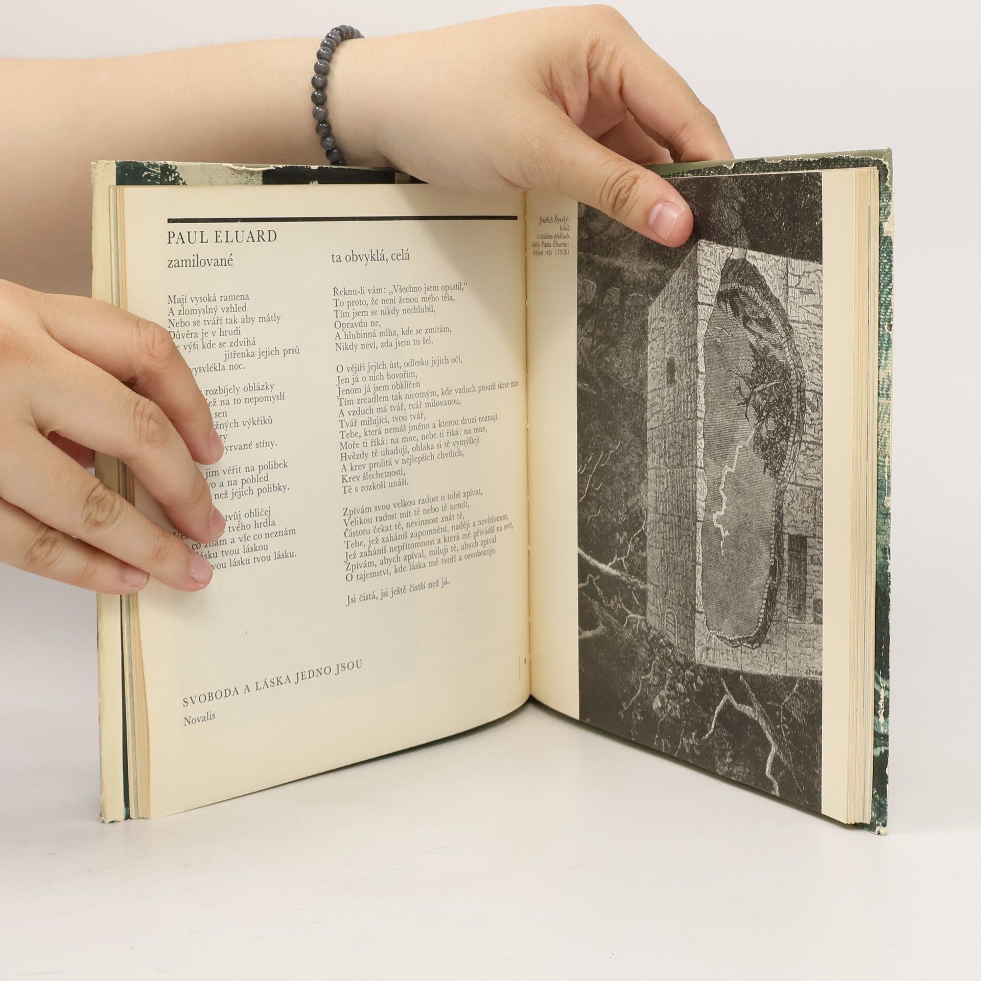 Autores varios Magnetická pole