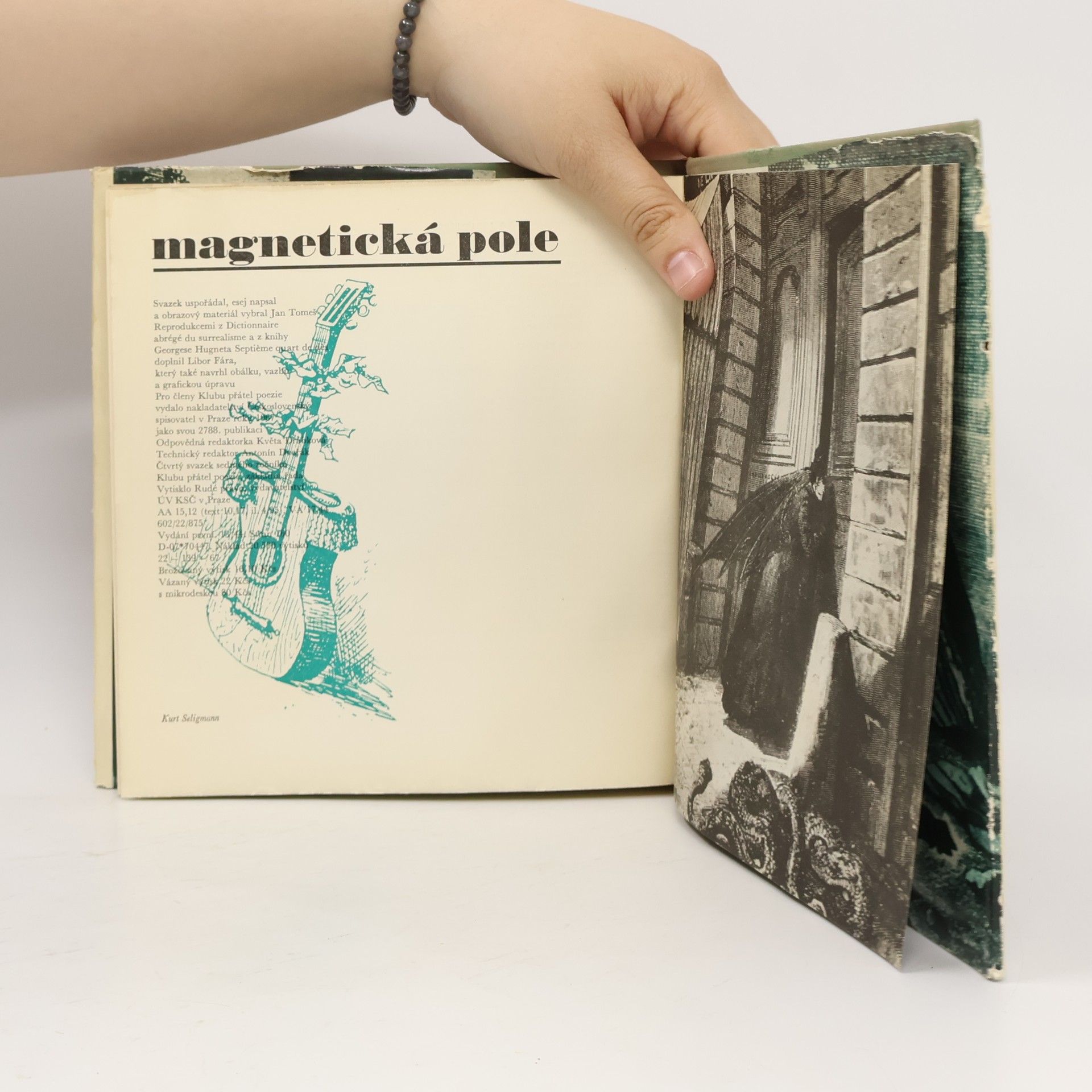 Autores varios Magnetická pole