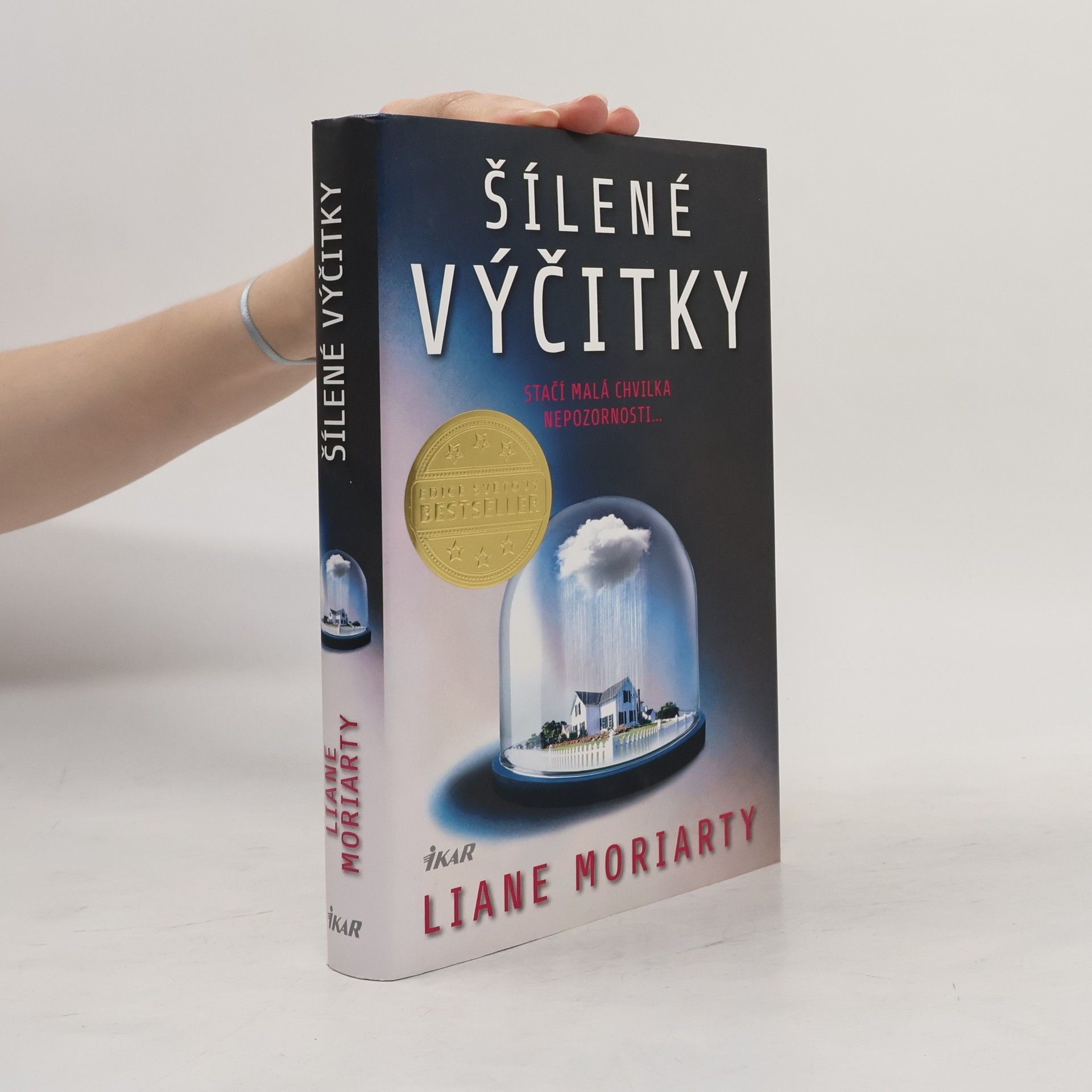 Liane Moriarty Šílené výčitky
