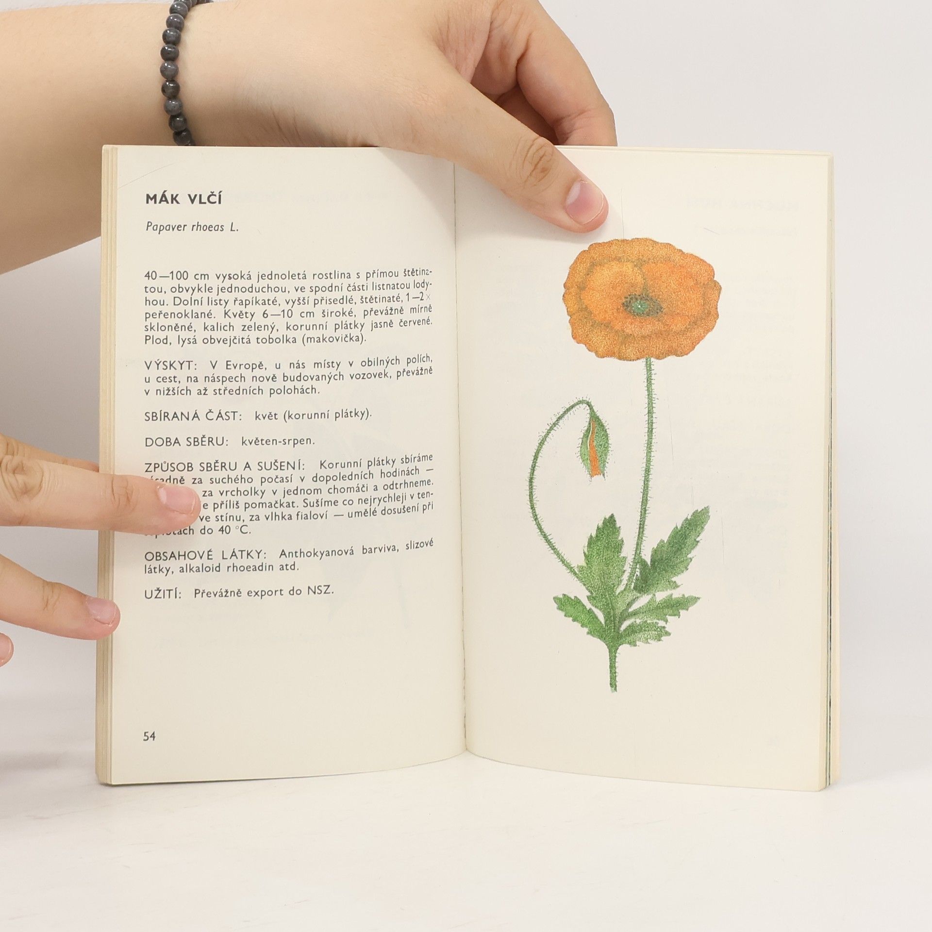 Ludmila Černá Malý herbář léčivých rostlin