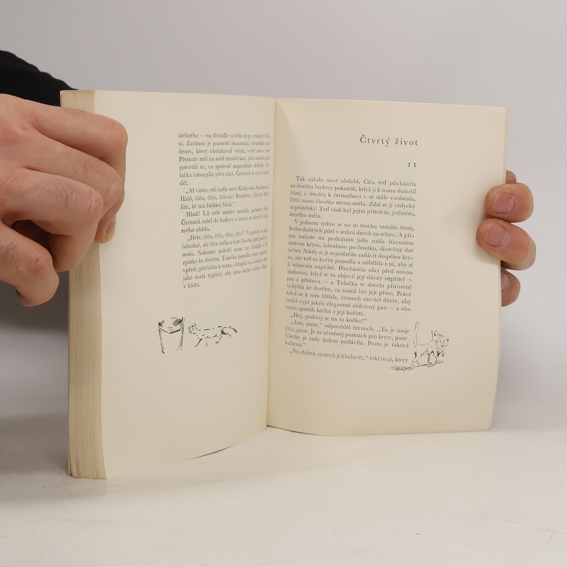 Ernest Thompson Seton Povídky od táborového ohně