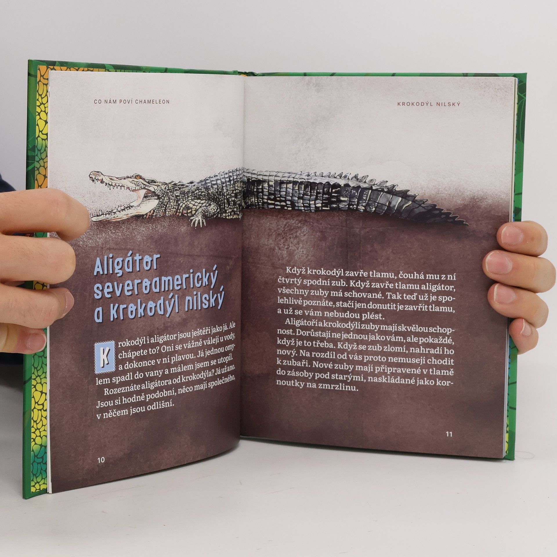 Zora Koru Co nám poví chameleon
