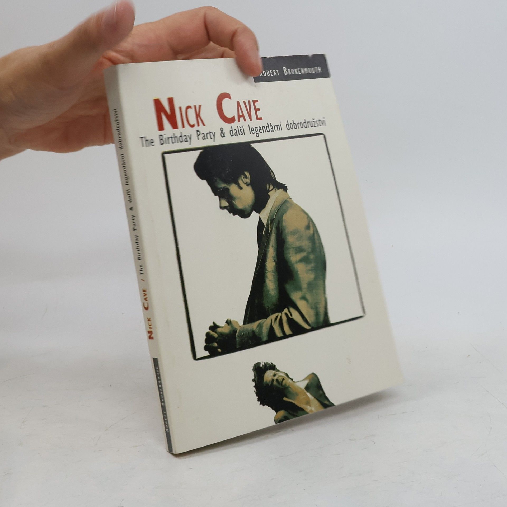 Nick Cave. The Birthday Party & další legendární dobrodružství