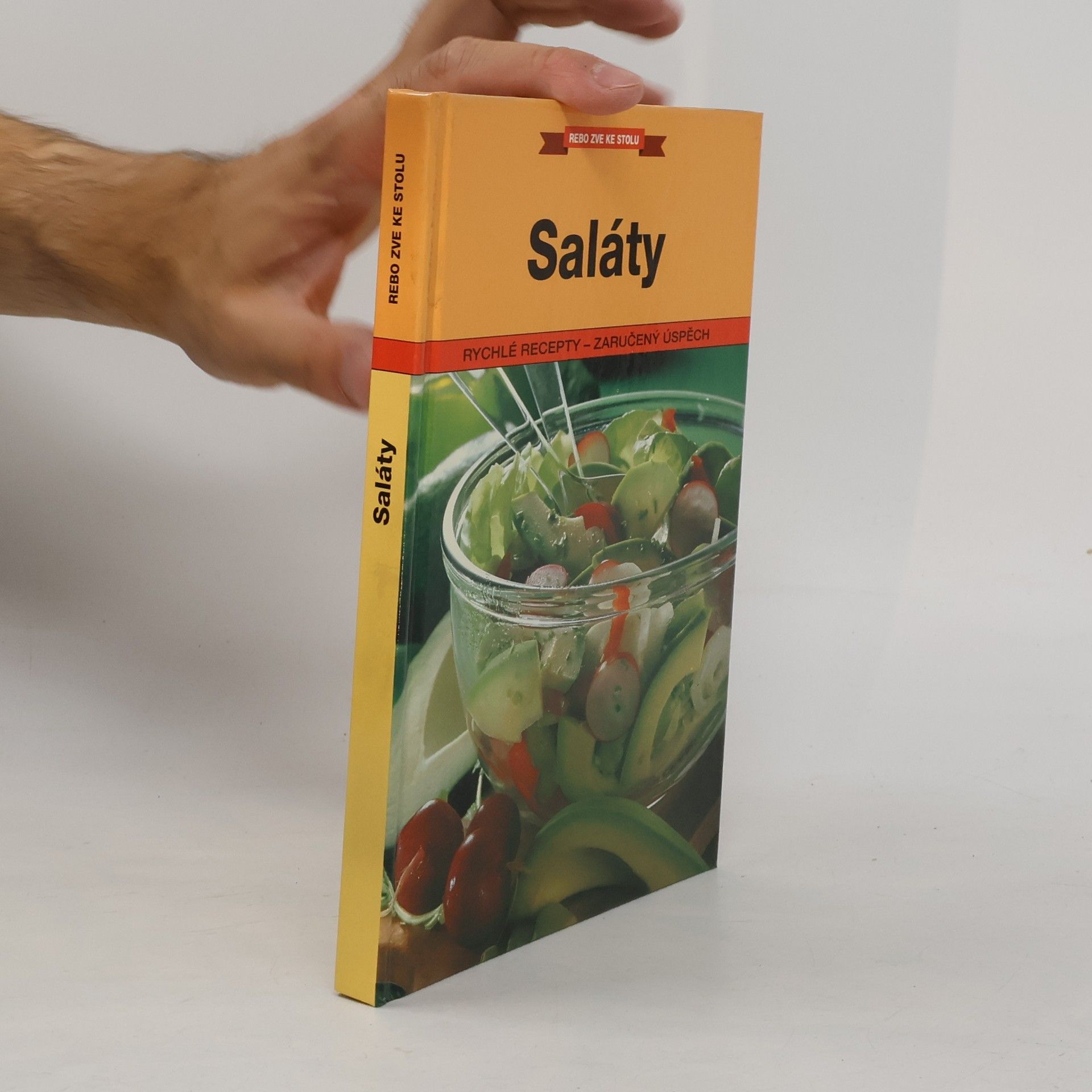 Autores varios Saláty