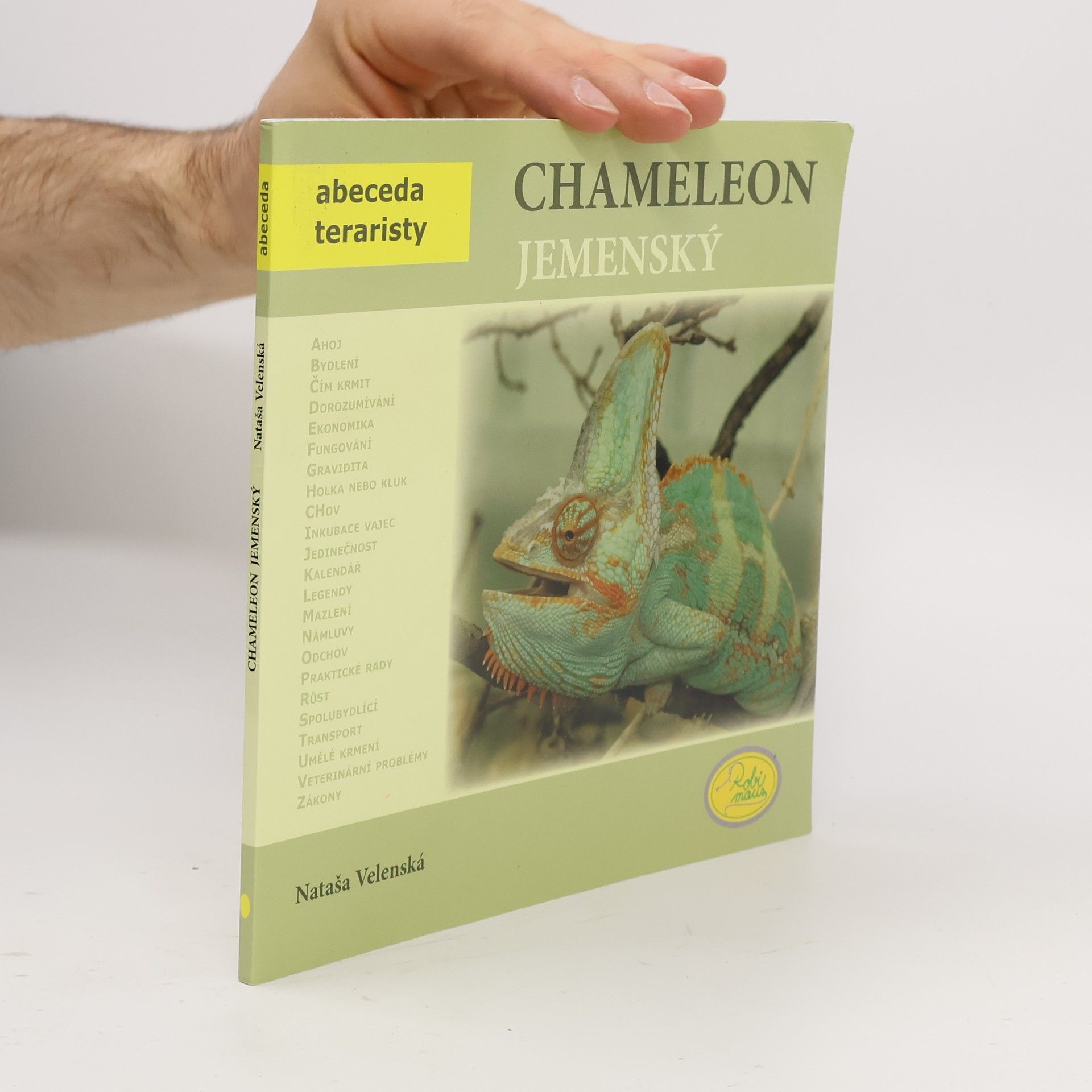 Chameleon jemenský