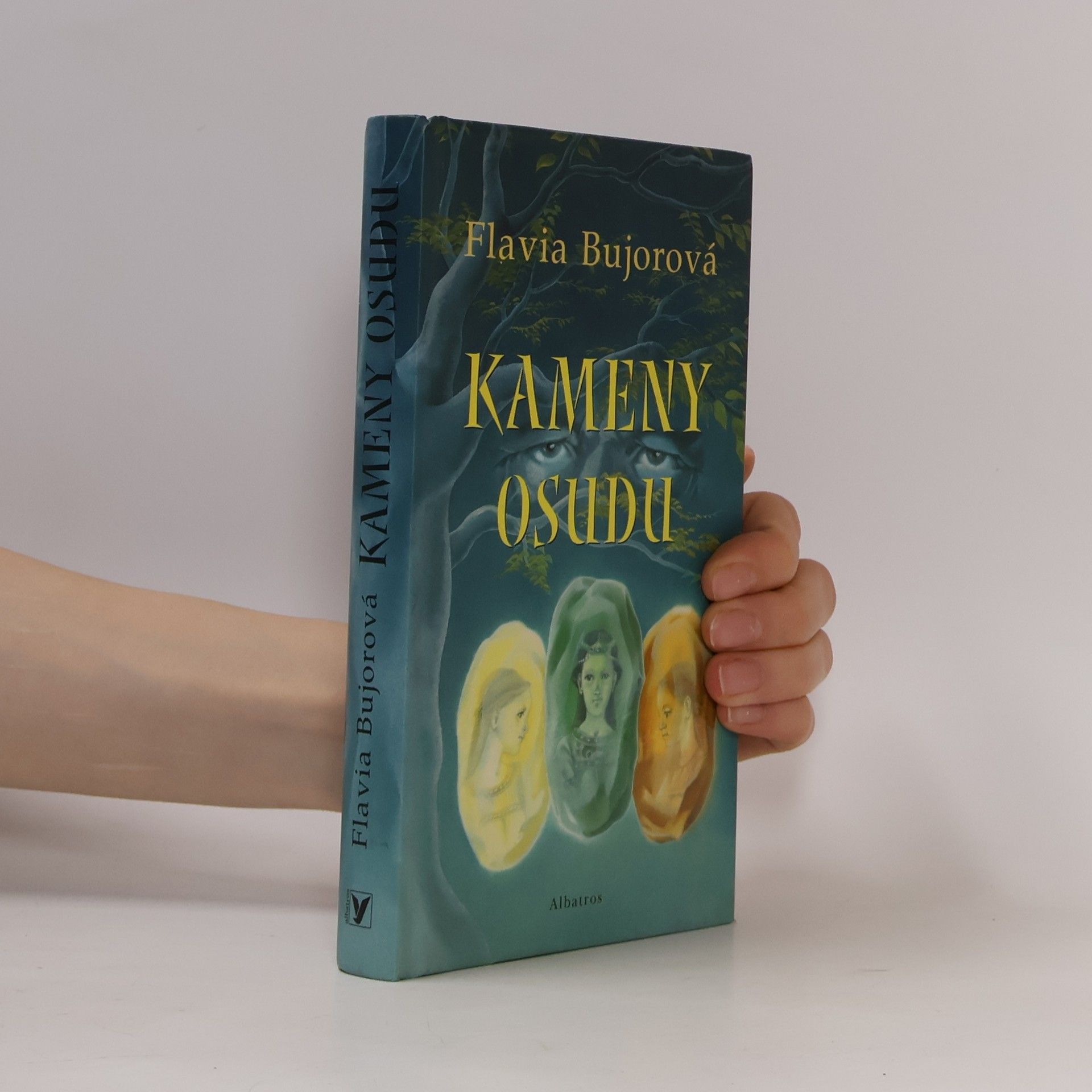 Flavia Bujor Kameny osudu
