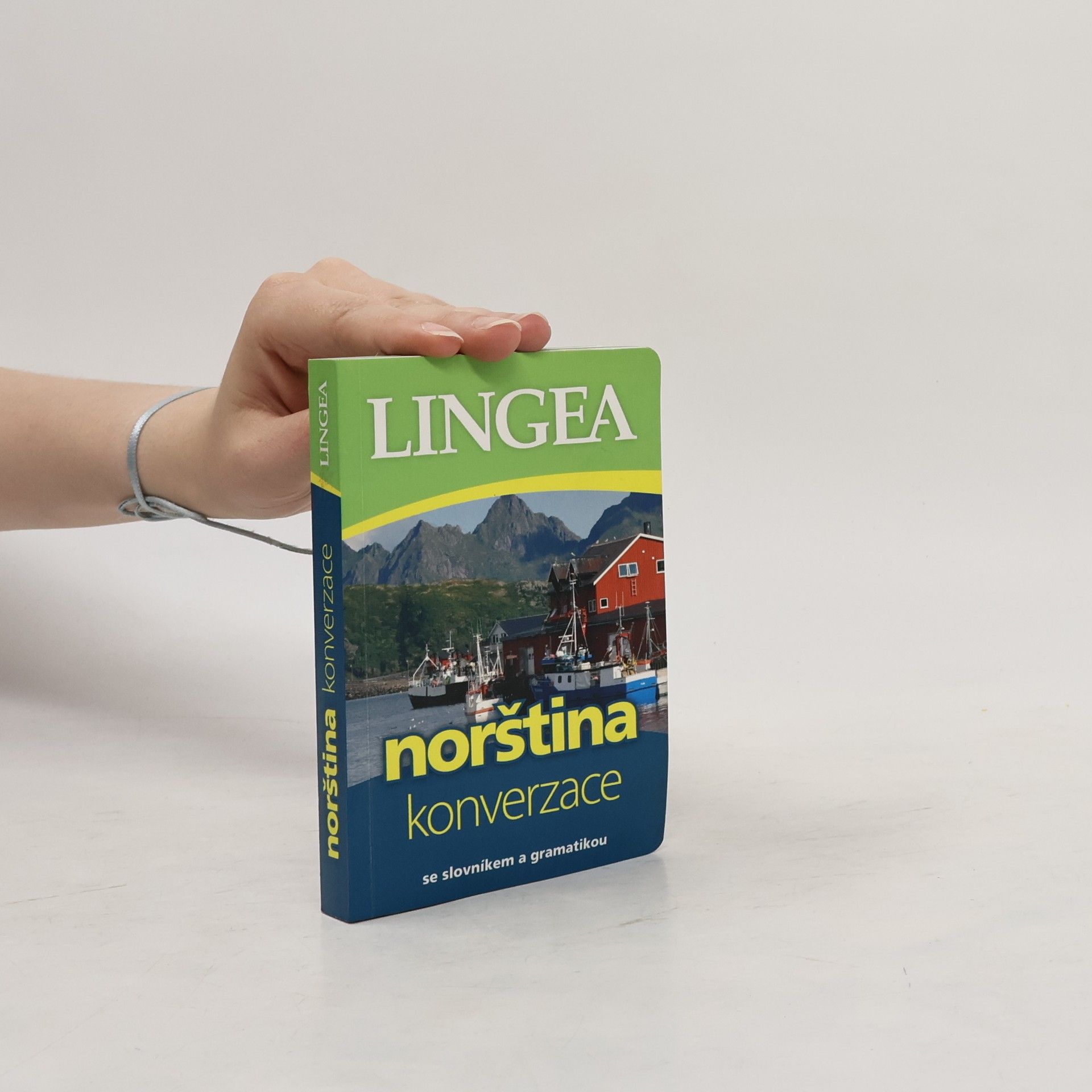 Various authors Norština. Konverzace
