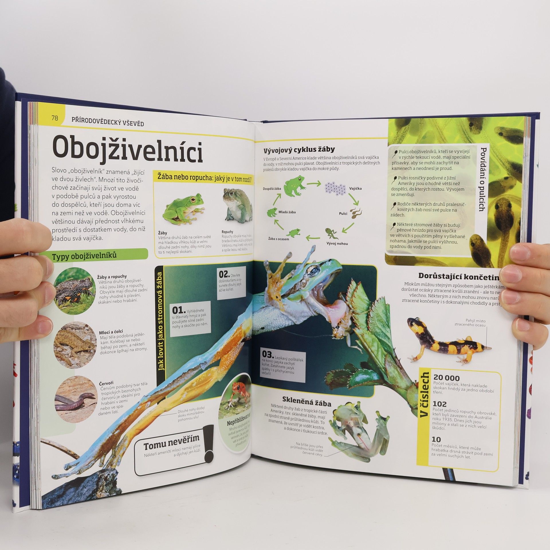 Clive Gifford Génius: Encyklopedie plná informací a zábavně naučných kvízů