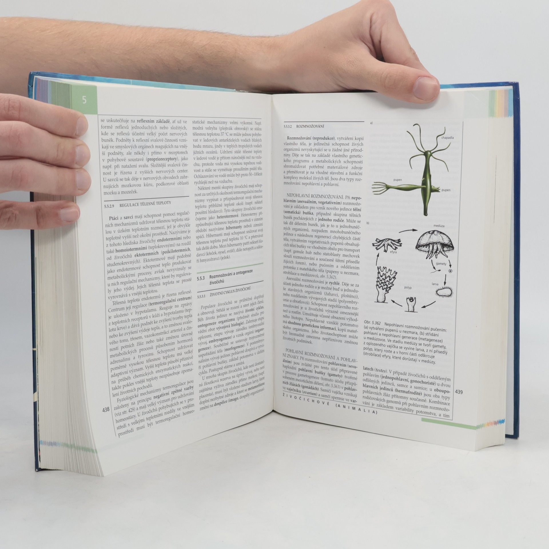 Autorenkollektiv Nový přehled biologie
