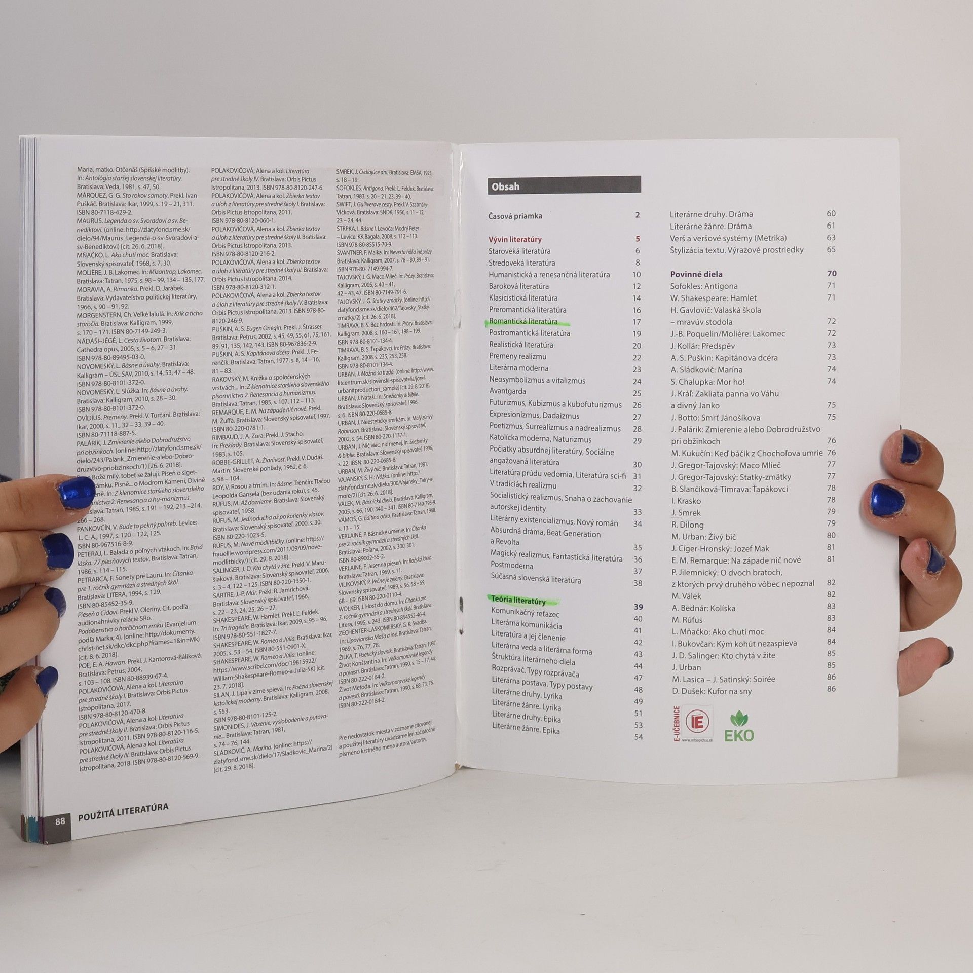 Milada Caltíková Literatúra. Ľahká cesta k maturite