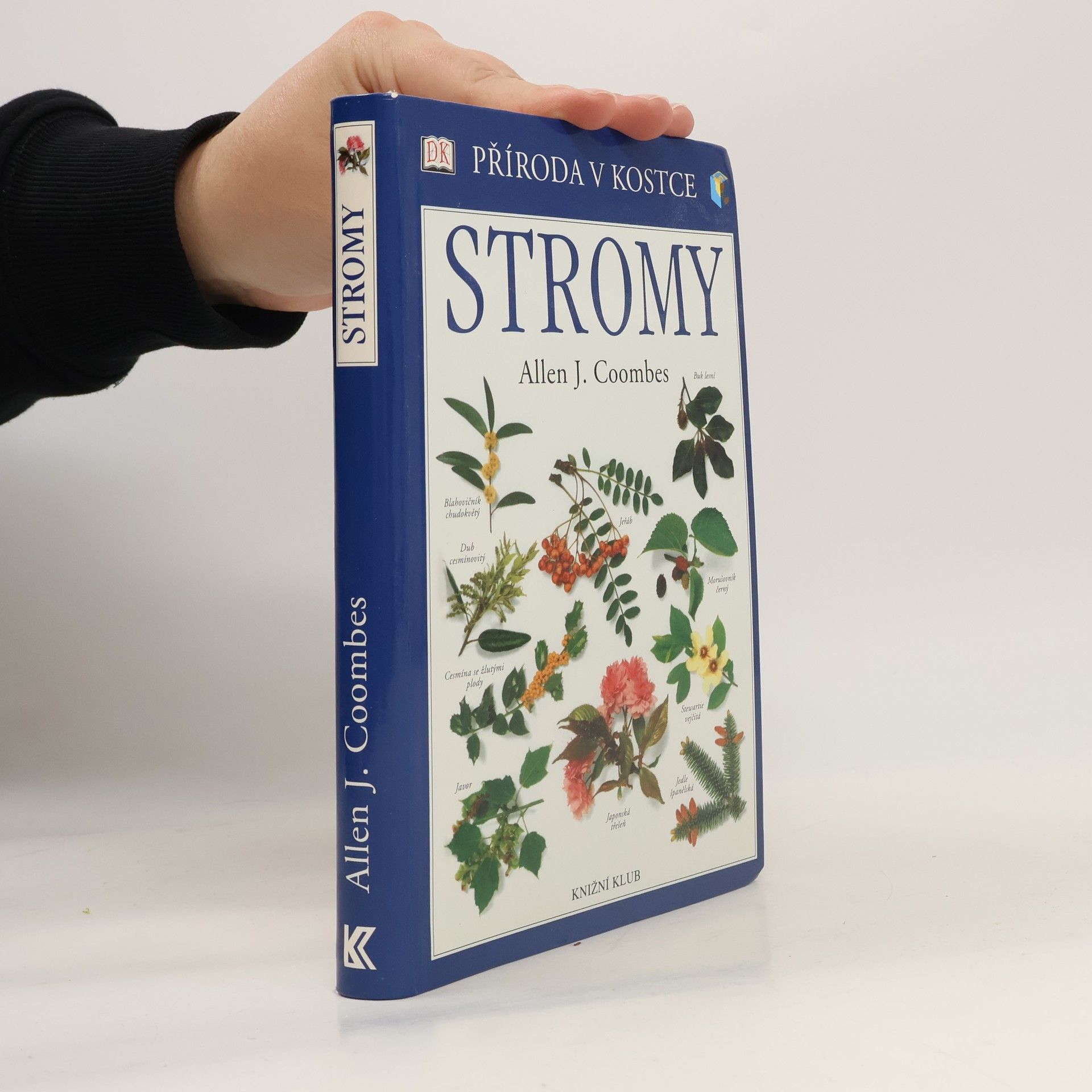 Allen J. Coombes Stromy