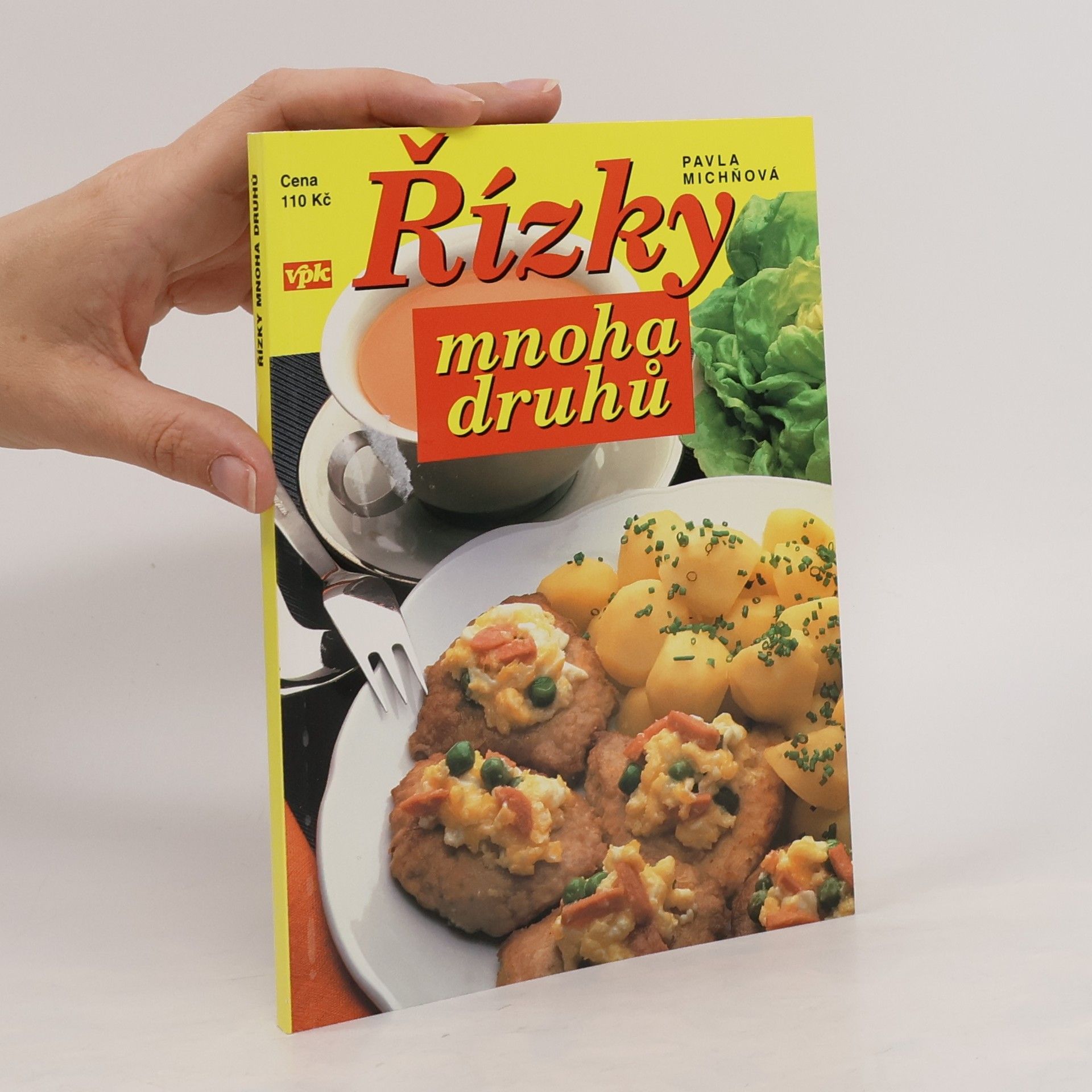 Pavla Michňová Řízky mnoha druhů