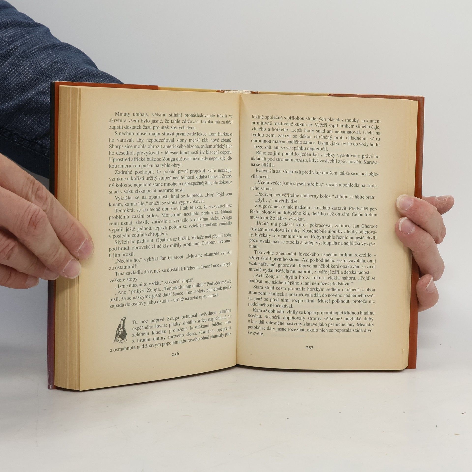 Wilbur Smith Říše kamenného sokola