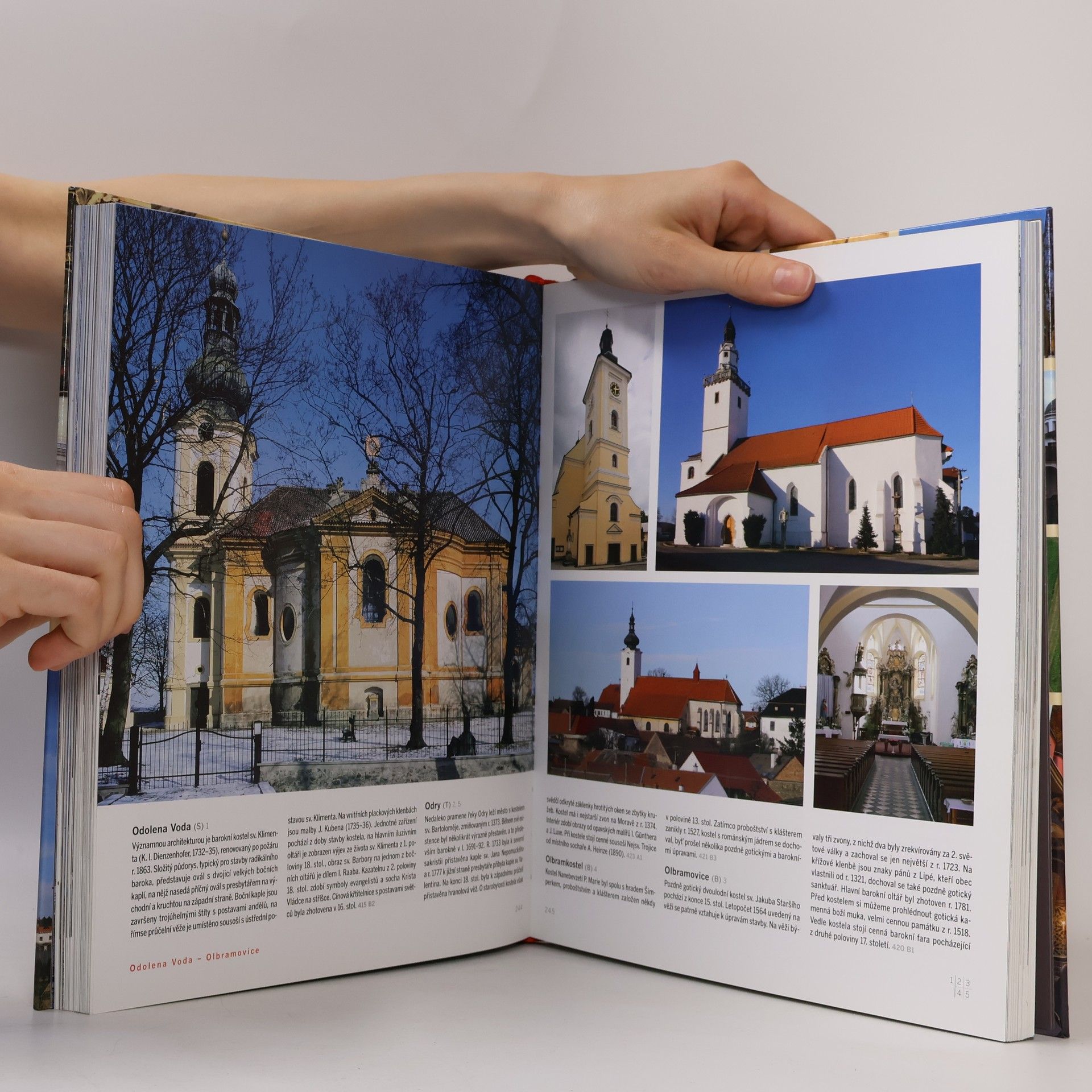 Autorenkollektiv Chrámy a kostely Čech, Moravy a Slezska