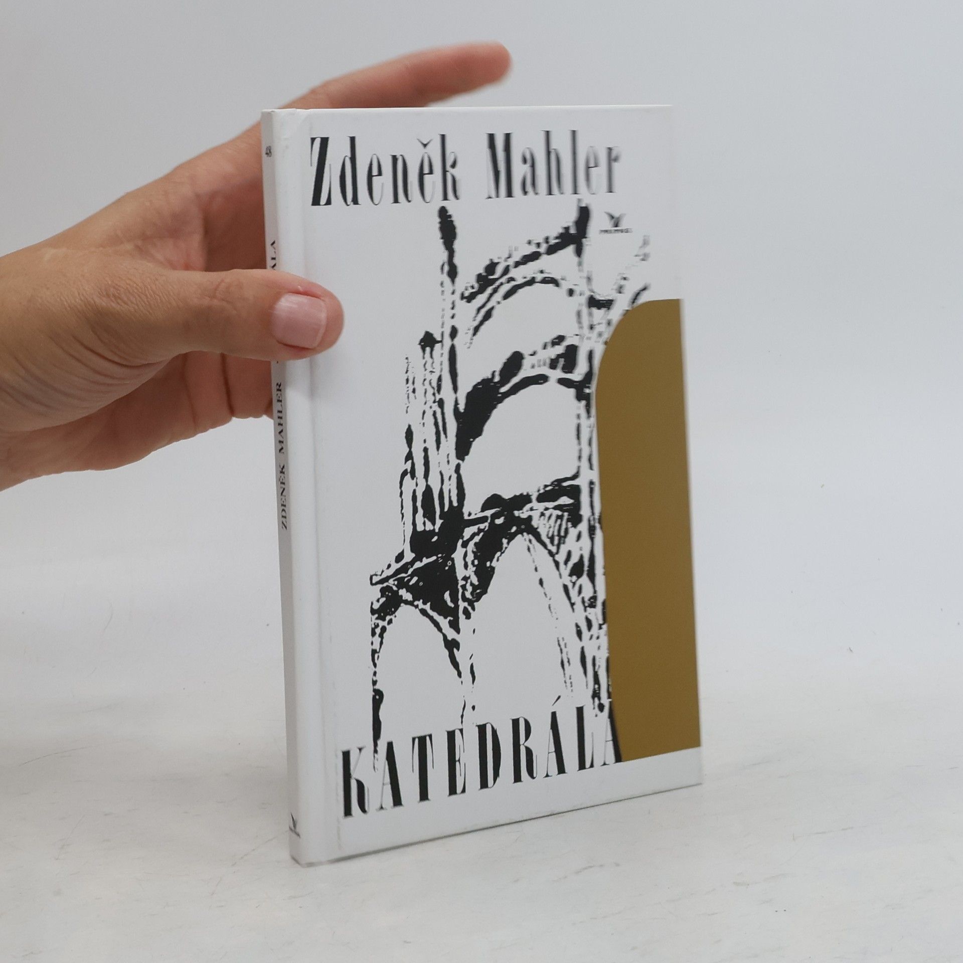Zdeněk Mahler Katedrála