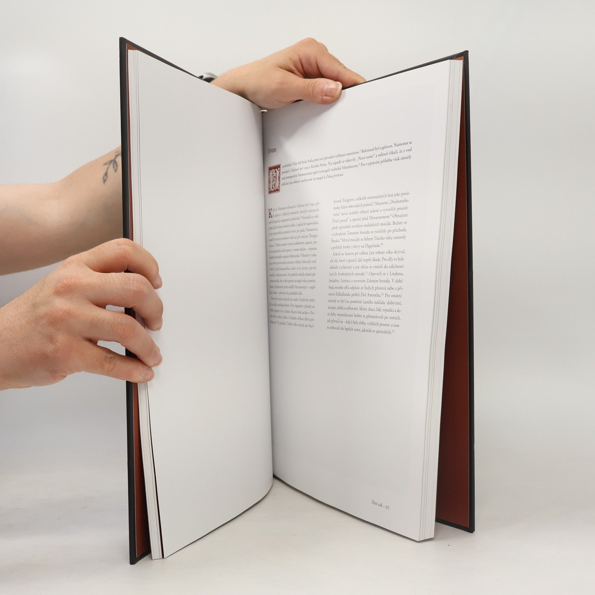 Karen Wynn Fonstad Atlas Středozemě