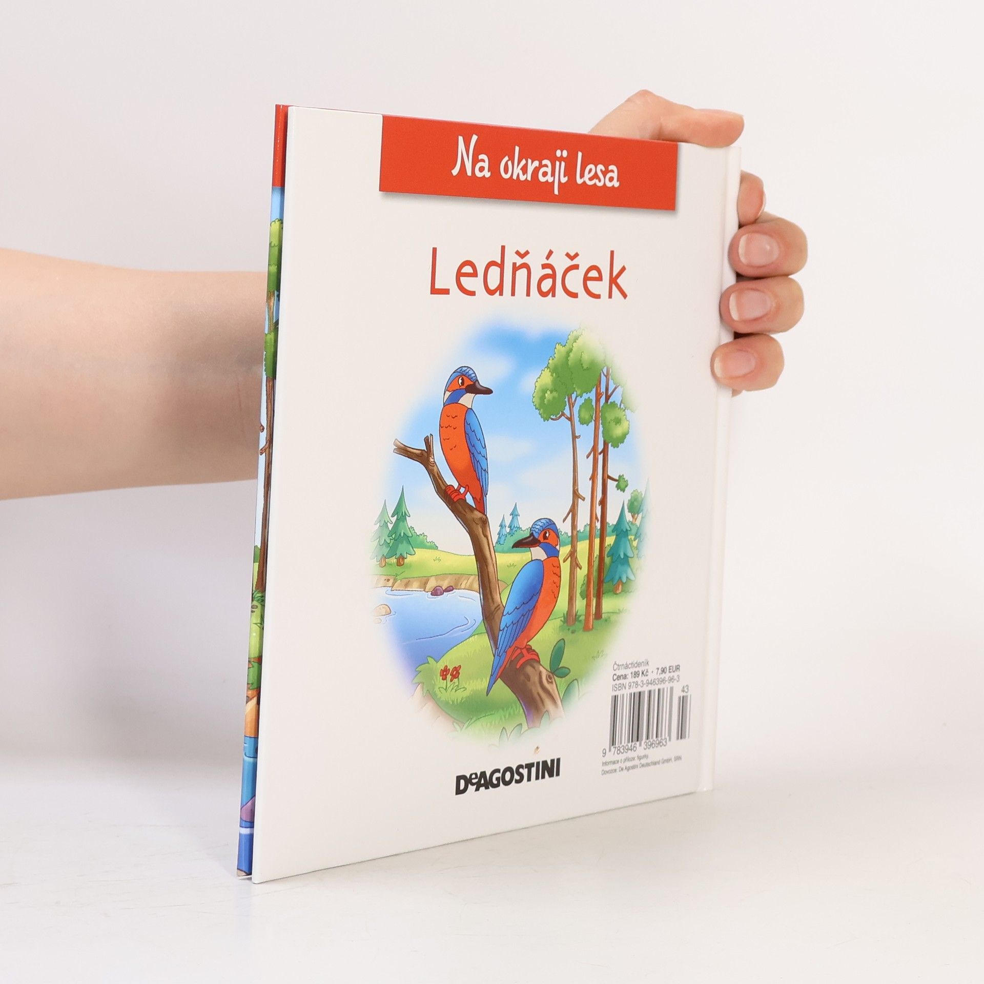 Autorenkollektiv Na okraji lesa 31. Ledňáček