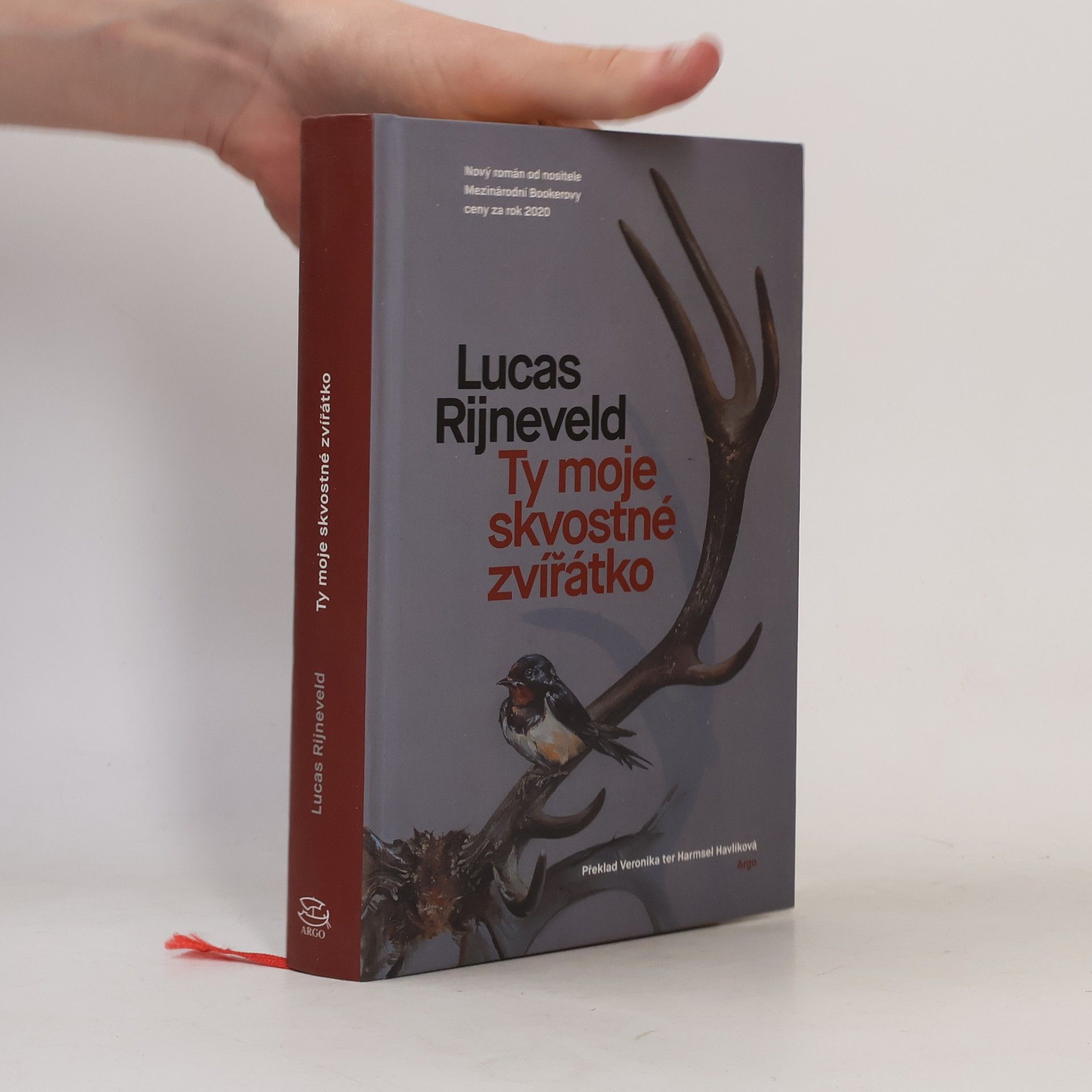 Marieke Lucas Rijneveld Ty moje skvostné zvířátko