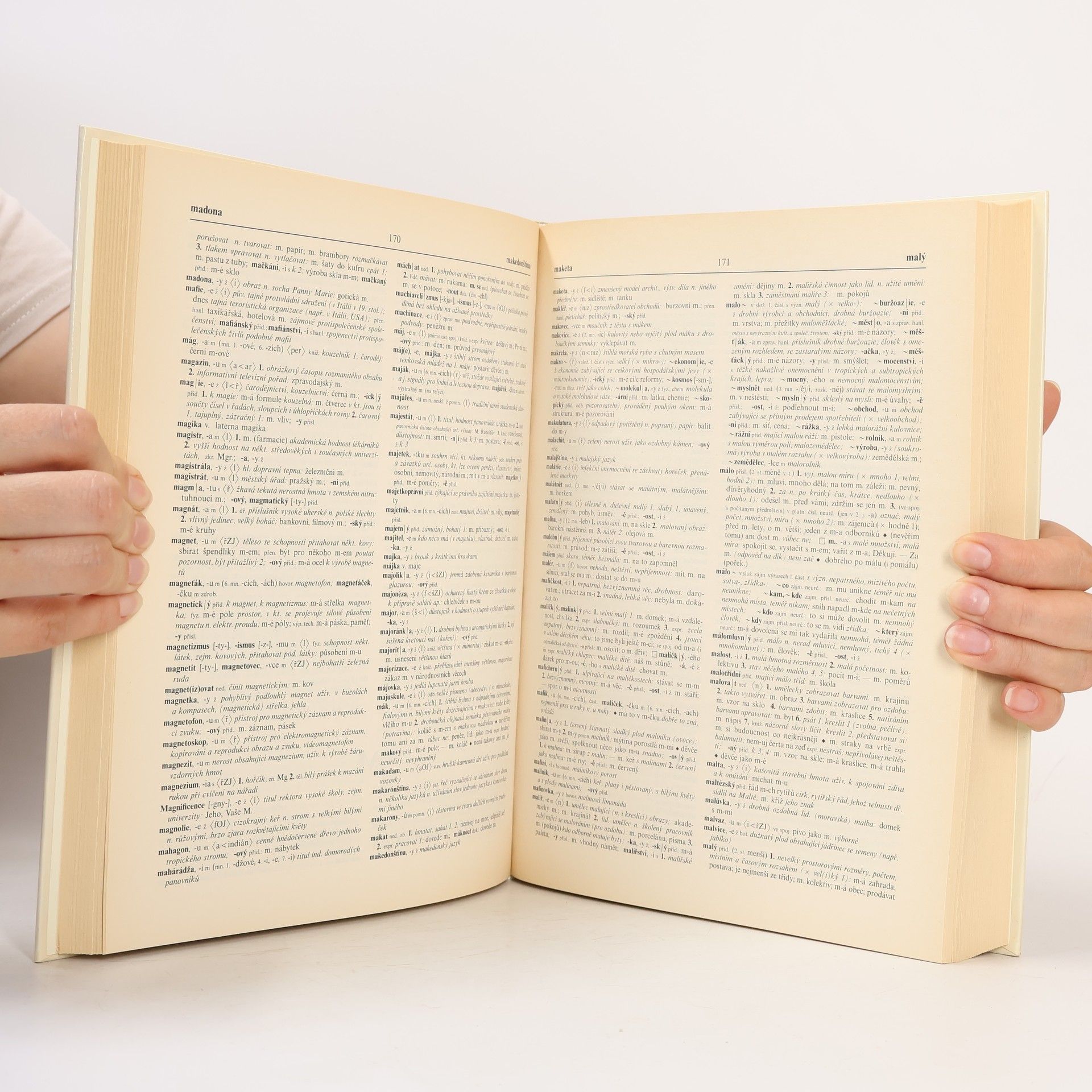 Collectif d'auteurs Slovník spisovné češtiny pro školu a veřejnost