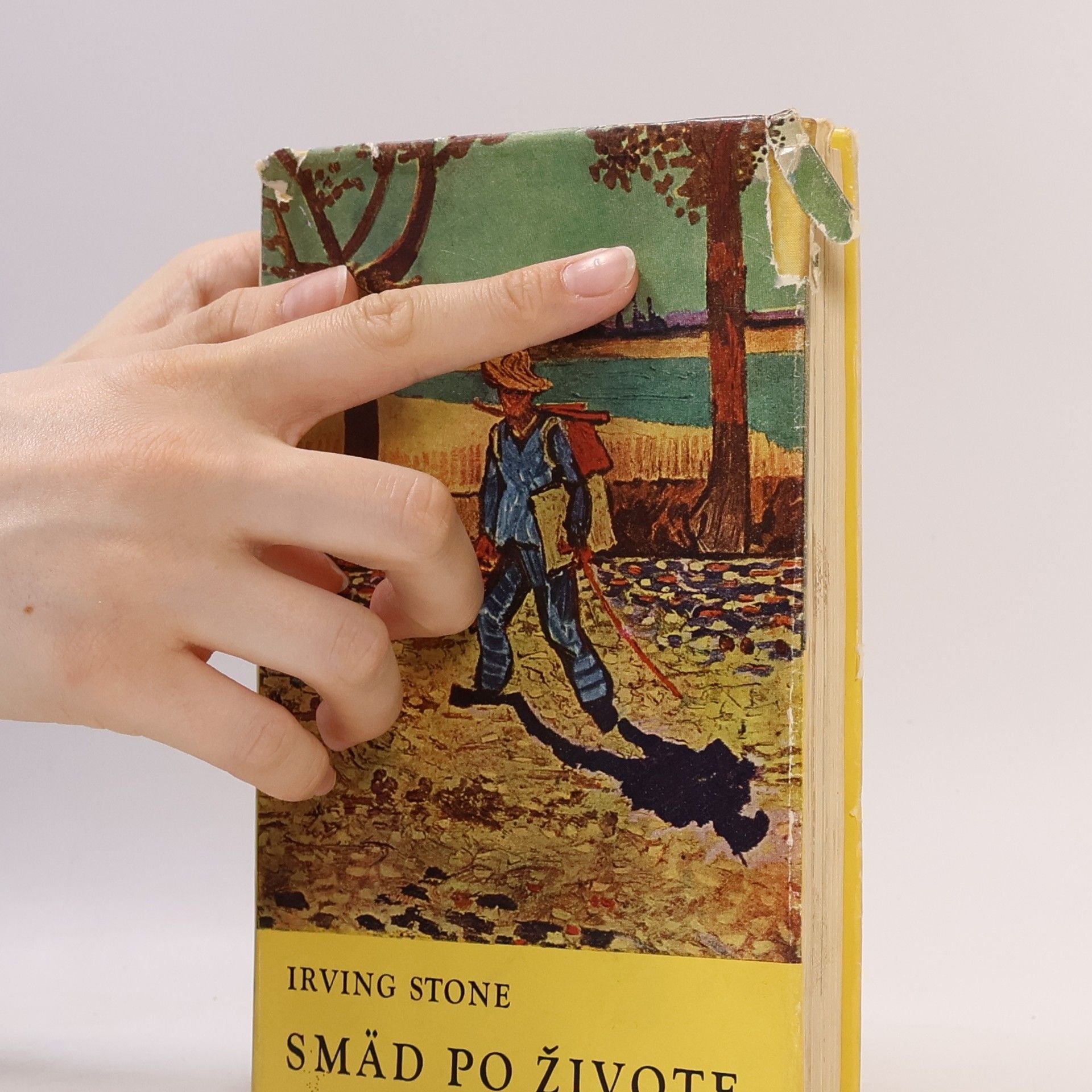 Irving Stone Smäd po živote
