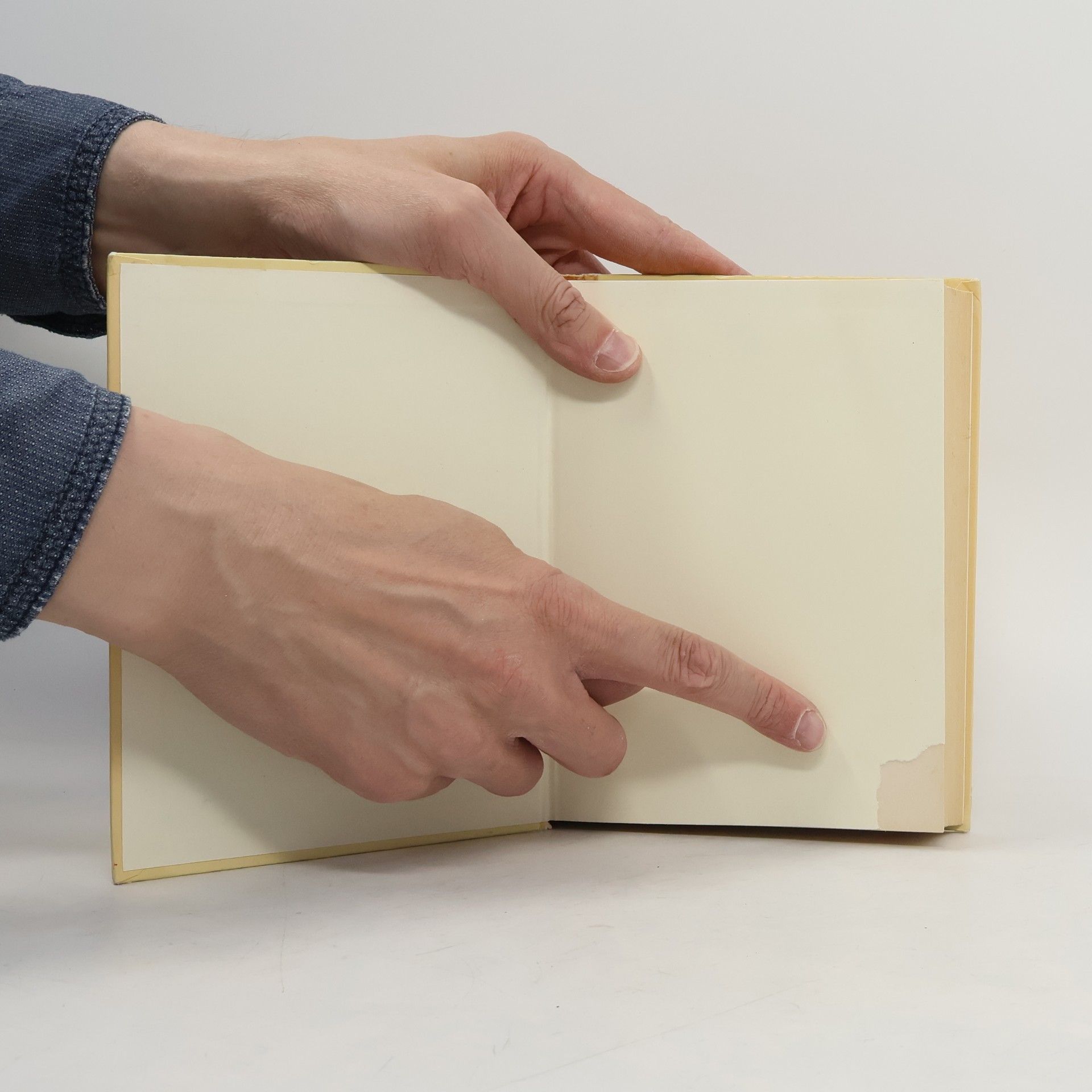 Peter Høeg Představy o dvacátém století