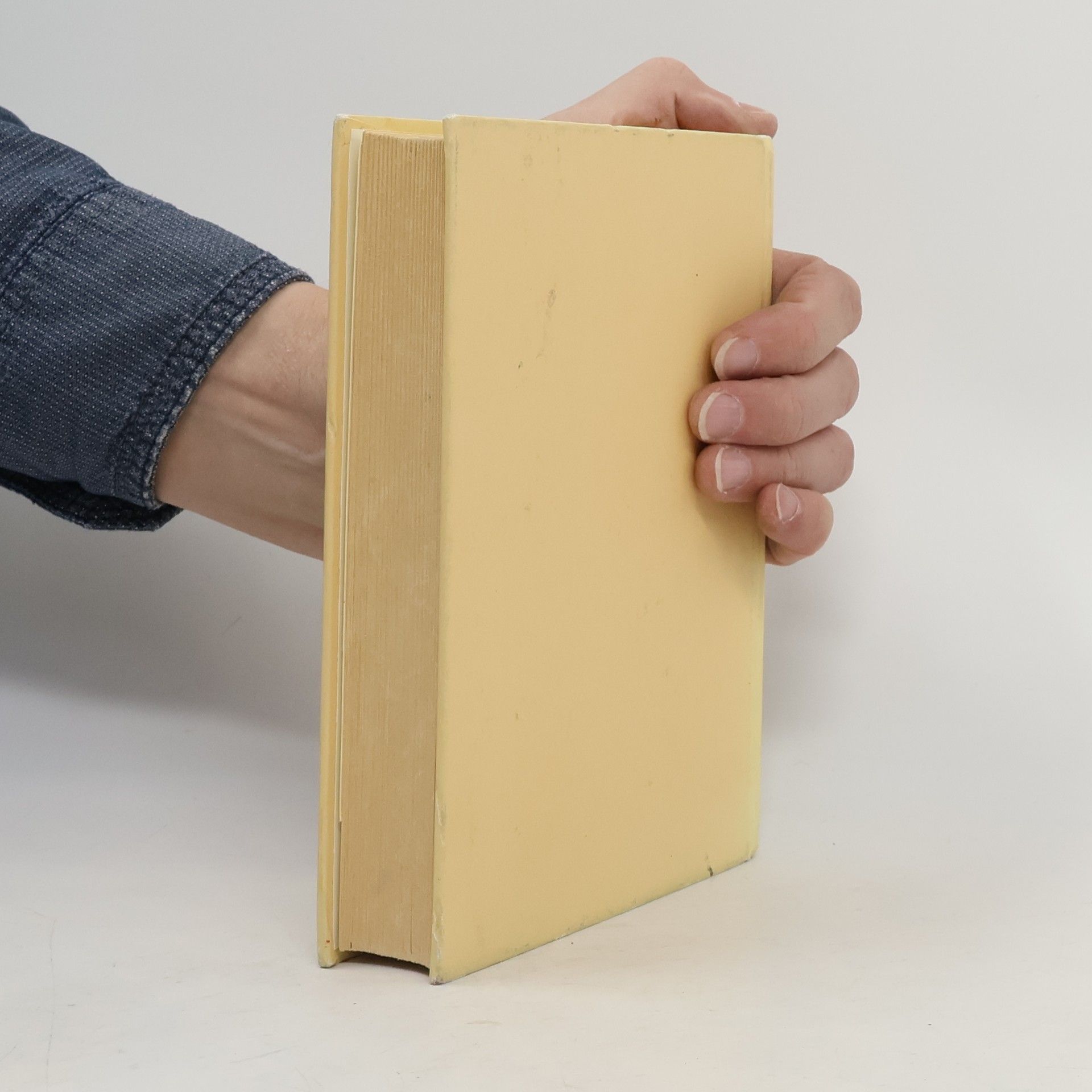 Peter Høeg Představy o dvacátém století