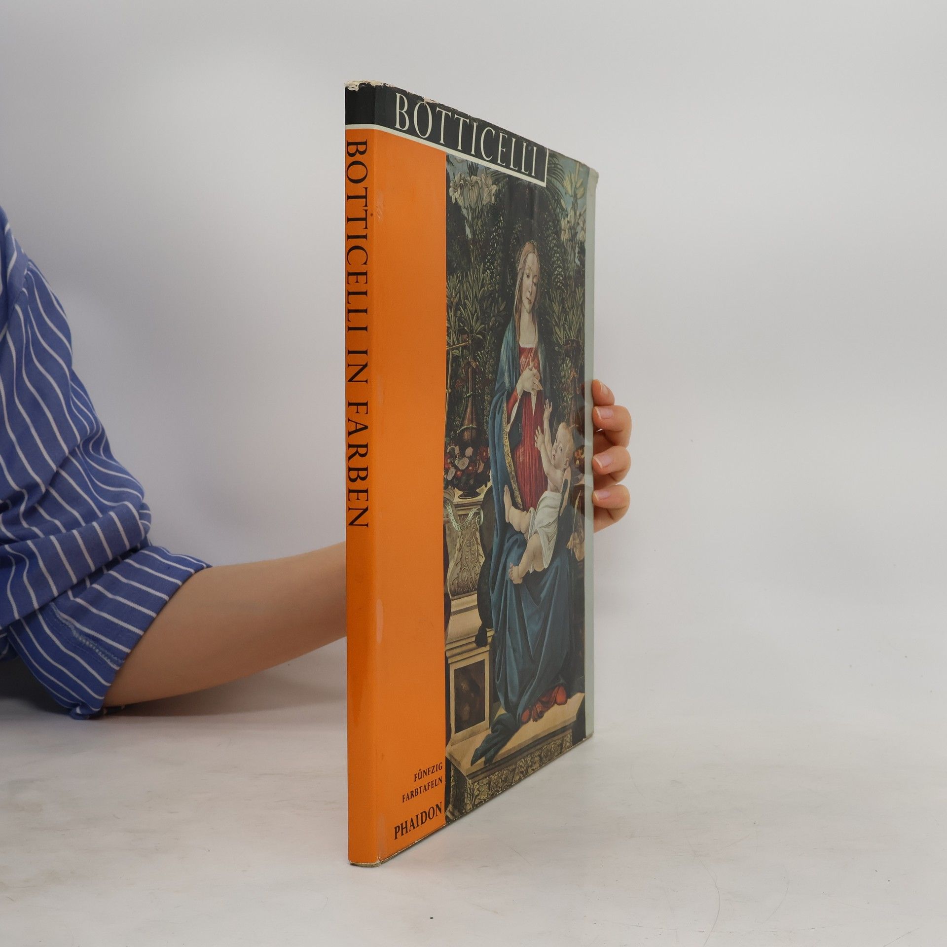 Autores varios Botticelli in Farben