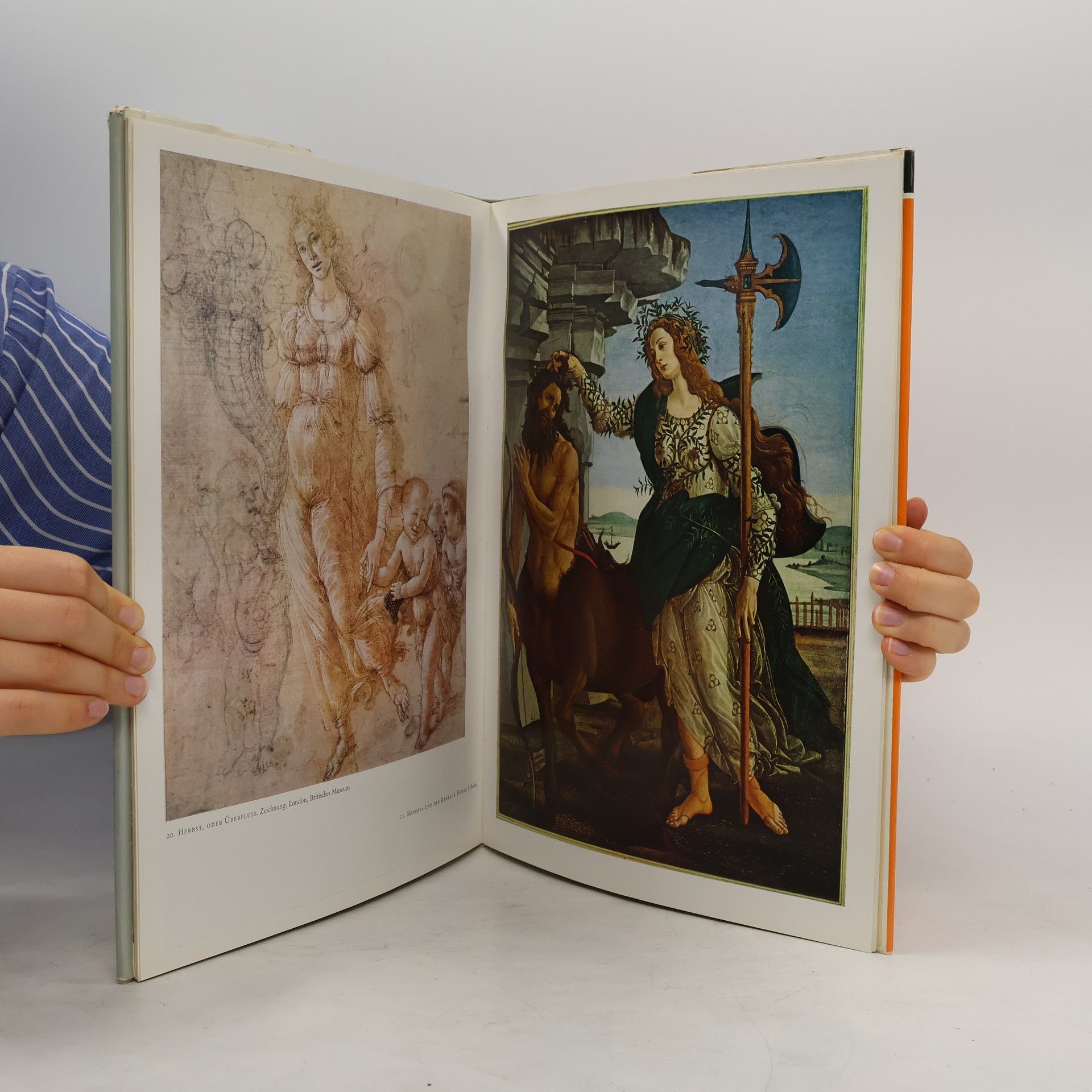 Autorenkollektiv Botticelli in Farben