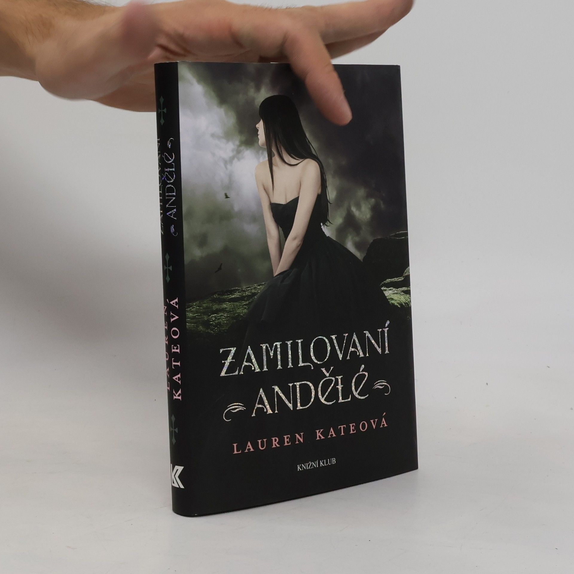 Lauren Kate Zamilovaní andělé