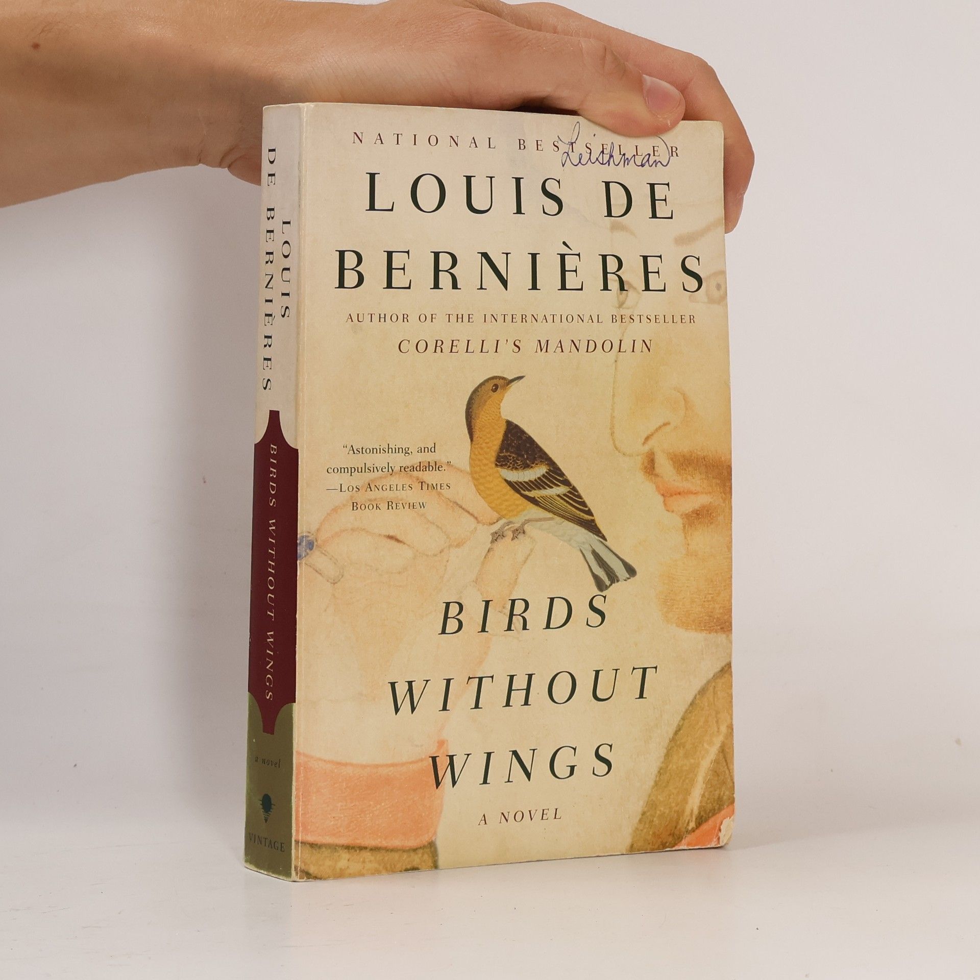 Louis de Bernieres Birds without wings