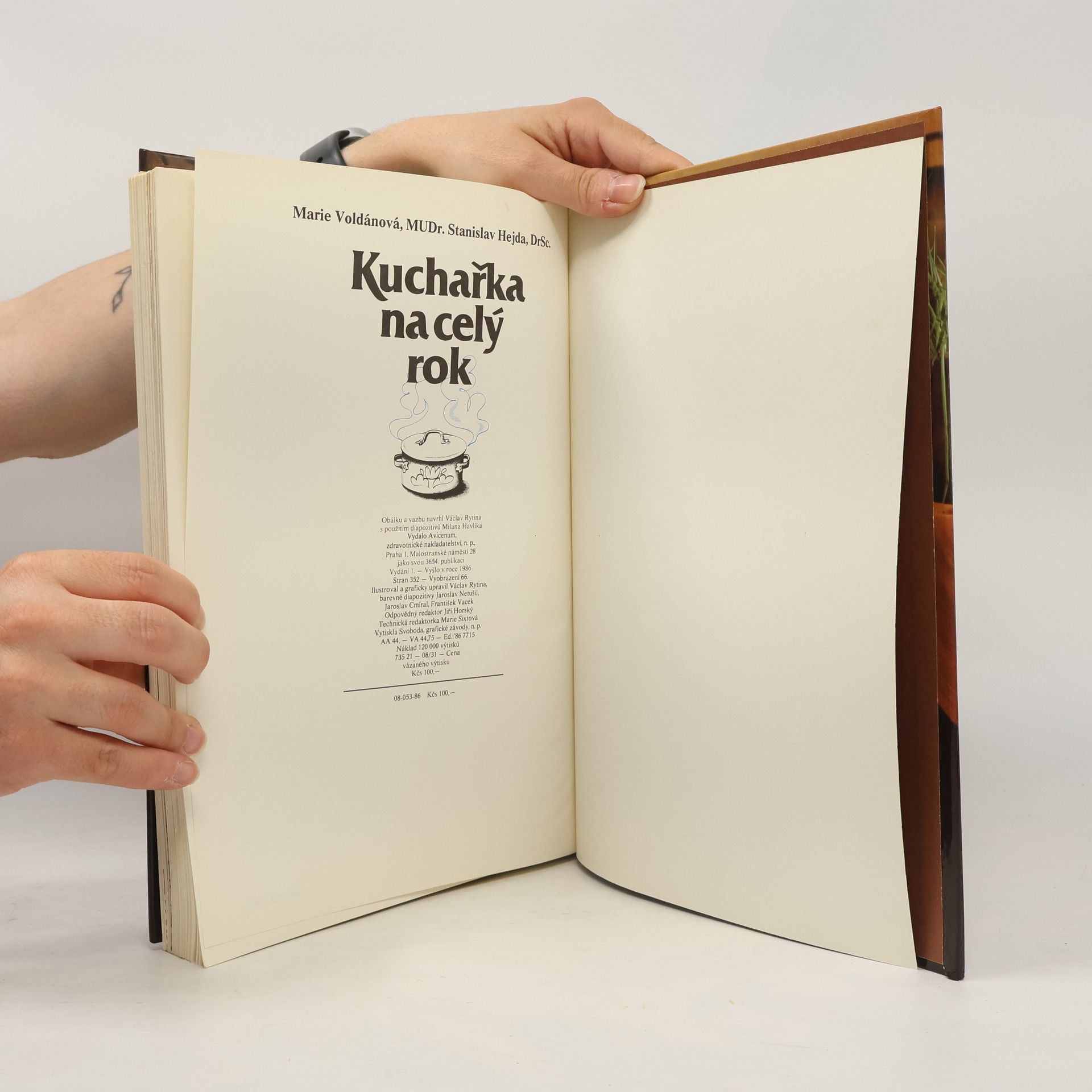 Marie Voldánová Kuchařka na celý rok