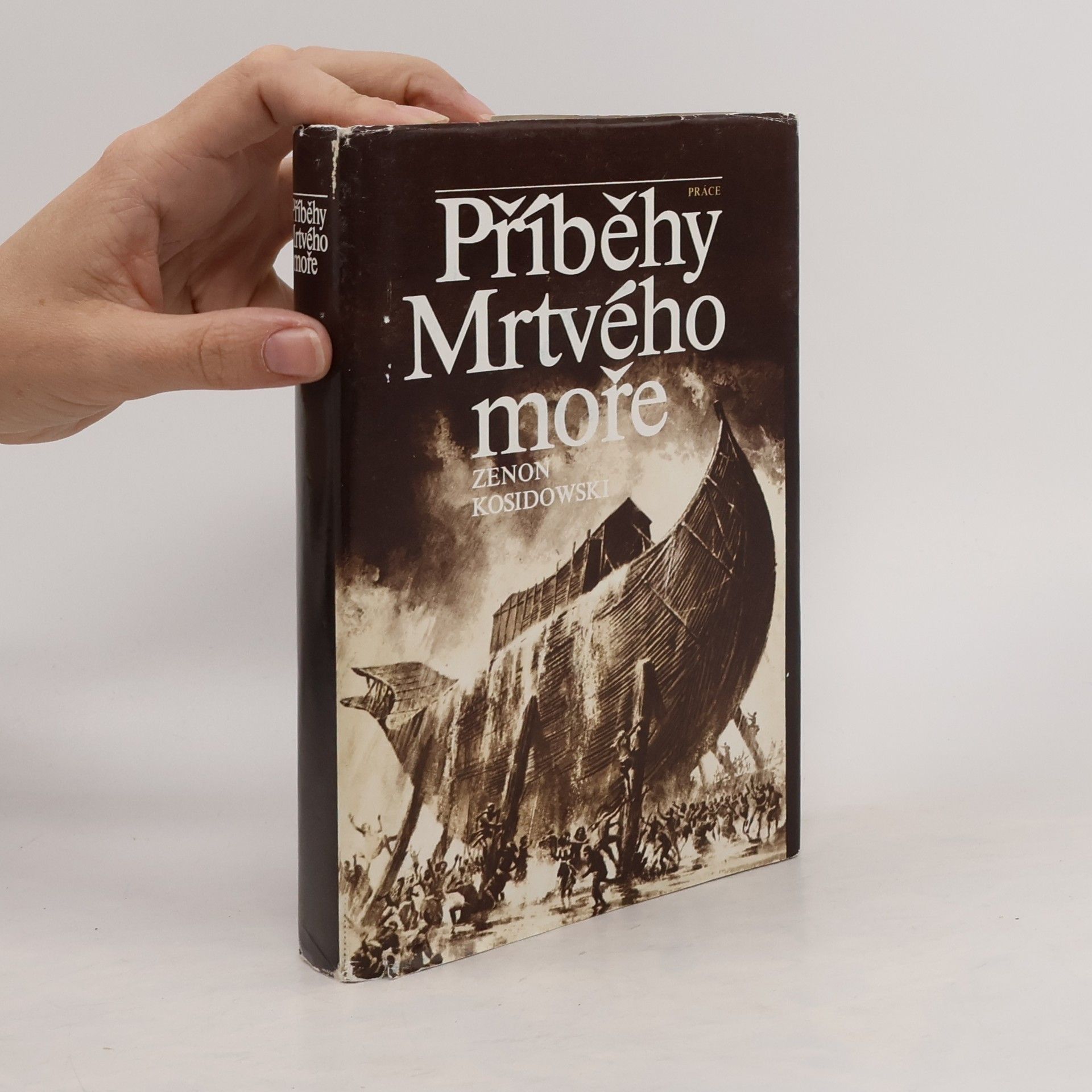 Zenon Kosidowski Příběhy Mrtvého moře