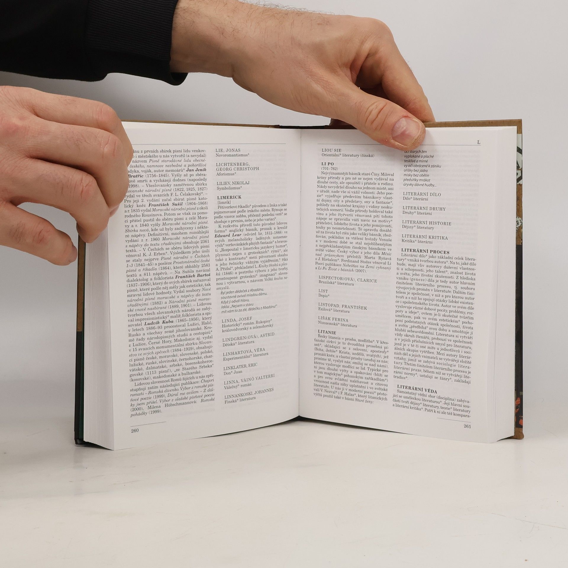Dušan Karpatský Labyrint literatury