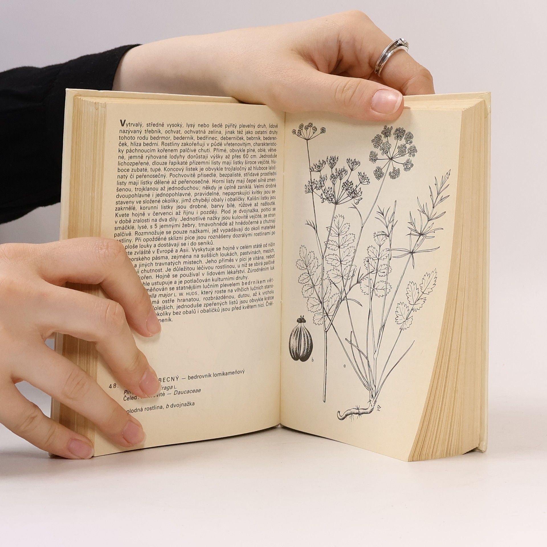 František Hron Kapesní atlas. Rostliny luk, pastvin, vod a bažin