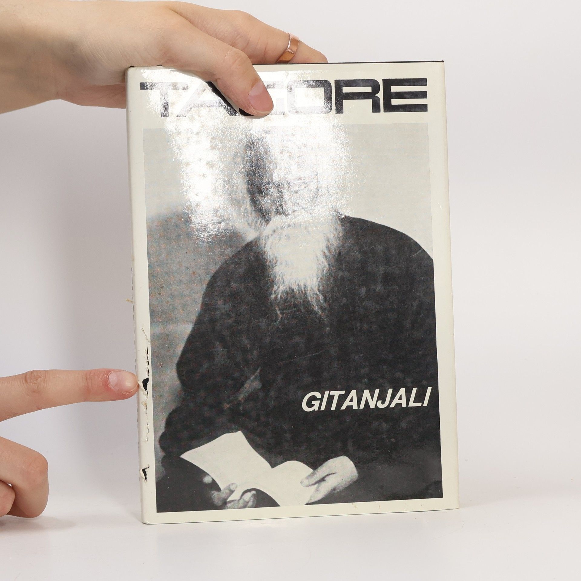 Rabindranath Tagore Eine Anthologie