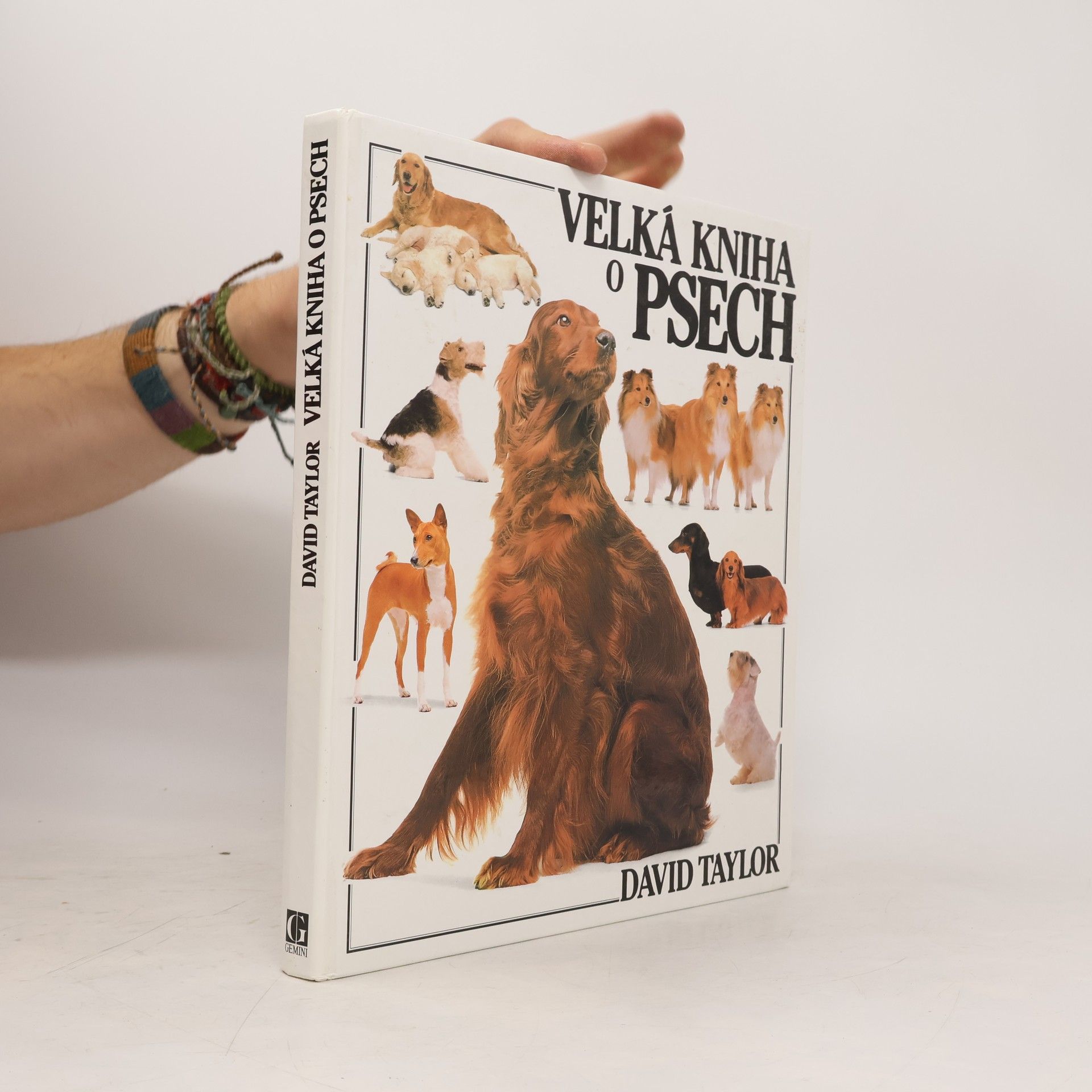 David Taylor Velká kniha o psech