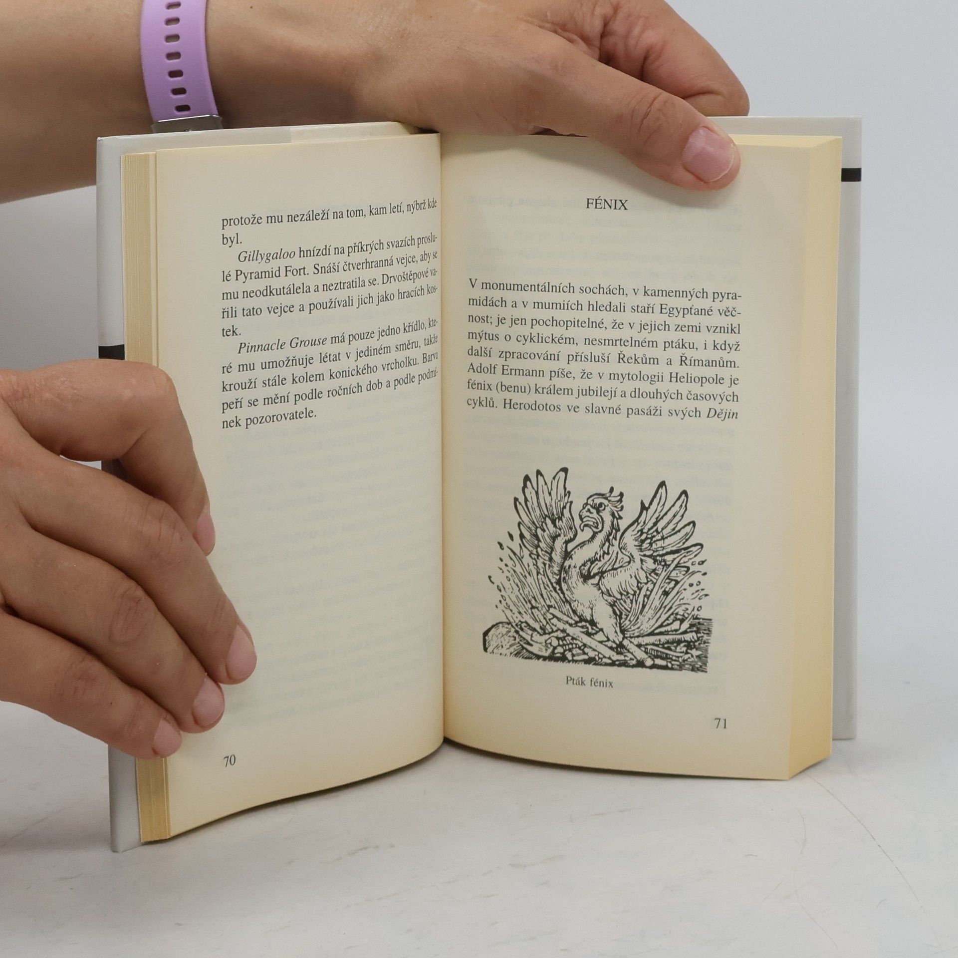 Jorge Luis Borges Fantastická zoologie