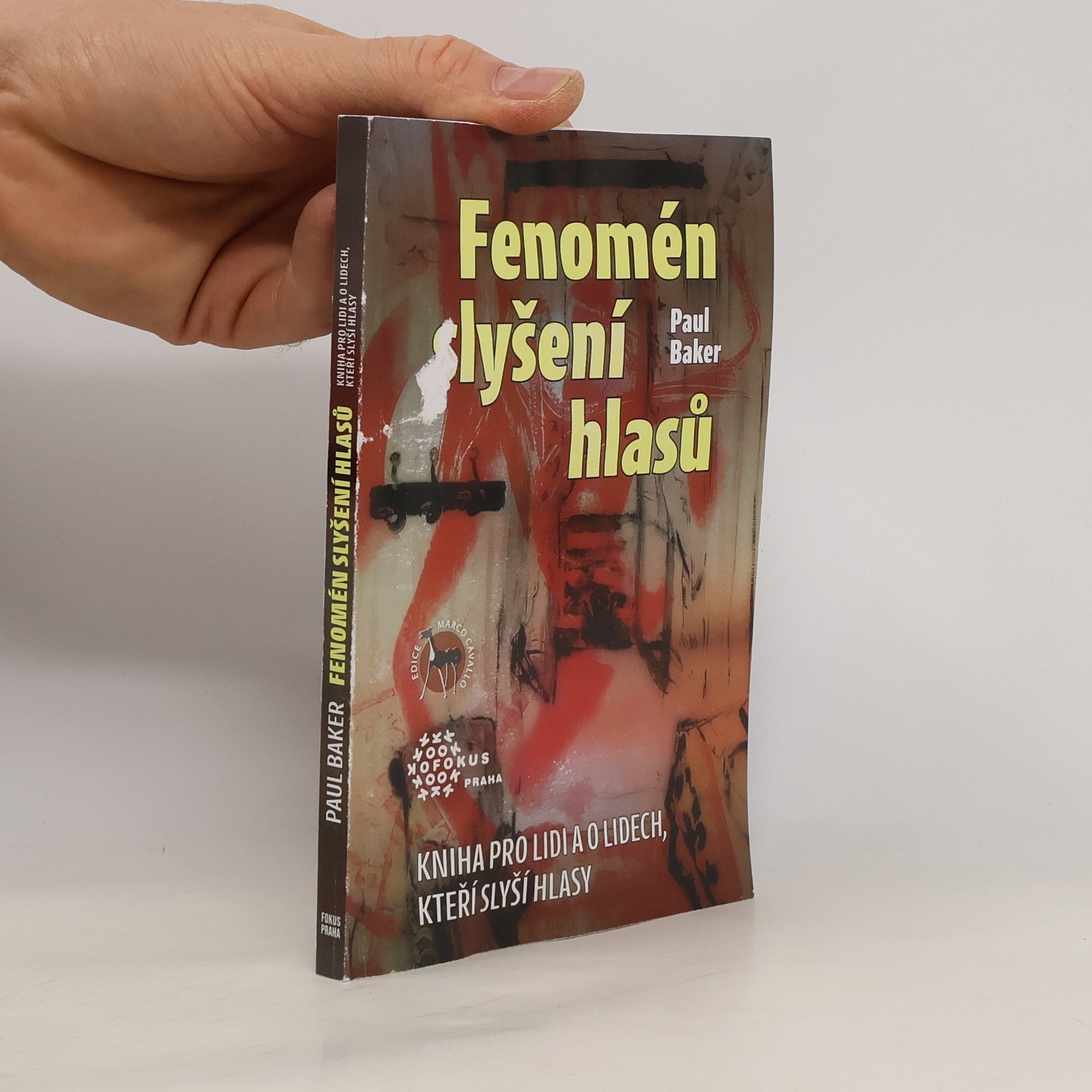 Paul Baker Fenomén slyšení hlasů