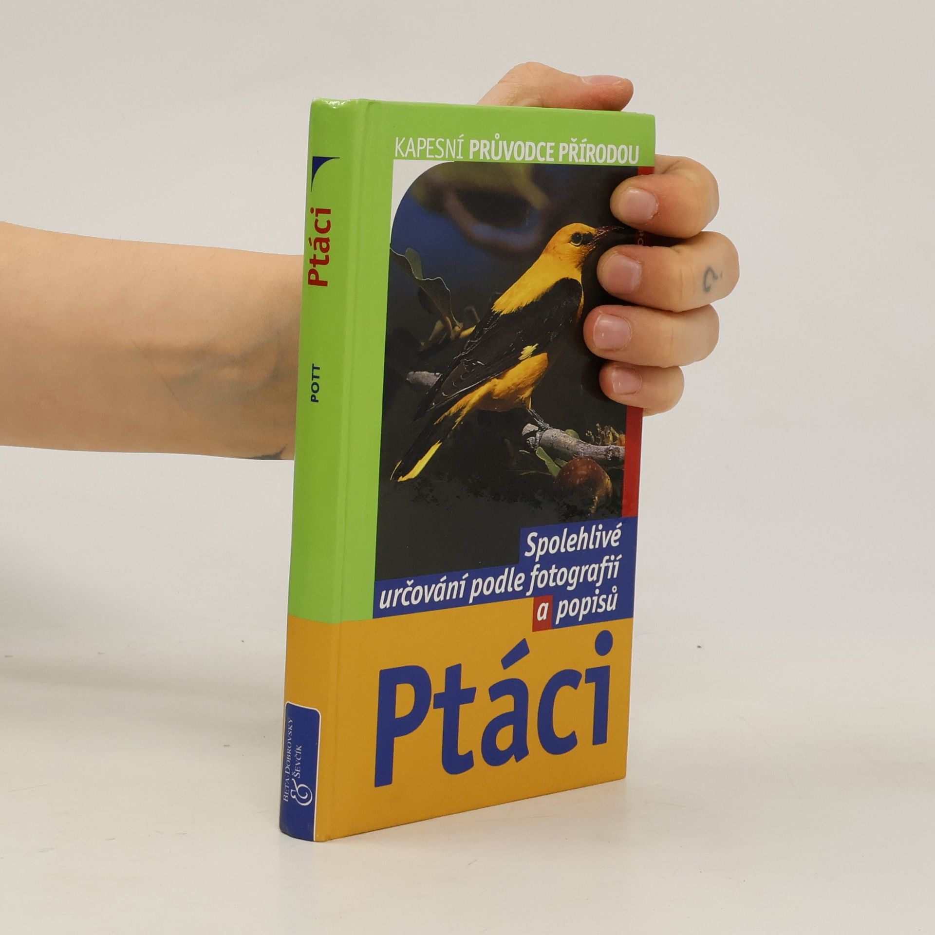 Eckart Pott Ptáci: Spolehlivé určování podle fotografií a popisů